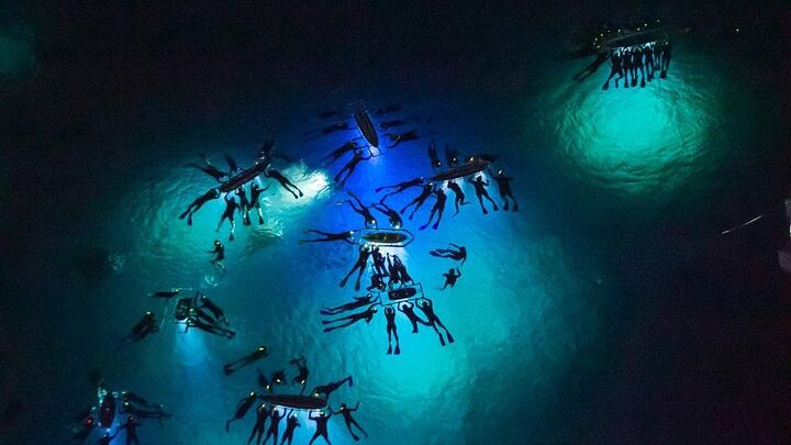 Kona, Hawaii: Nighttime Snorkel with Manta Rays