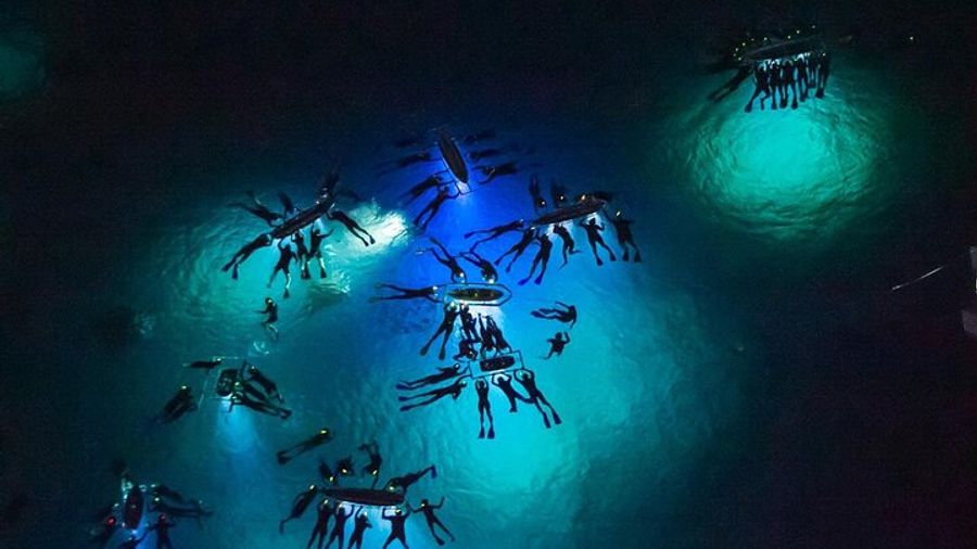 Kona, Hawaii: Nighttime Snorkel with Manta Rays