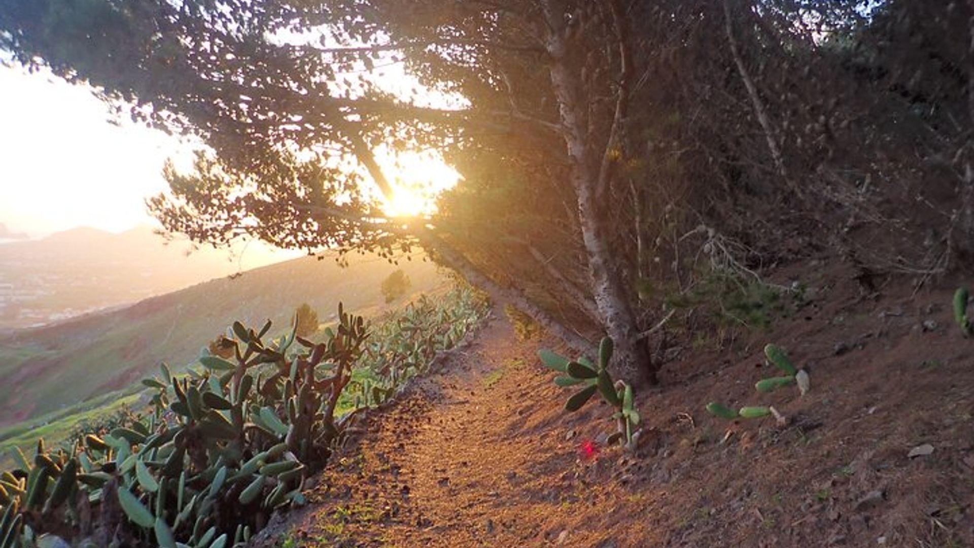 Pico do Facho Panoramic Trail