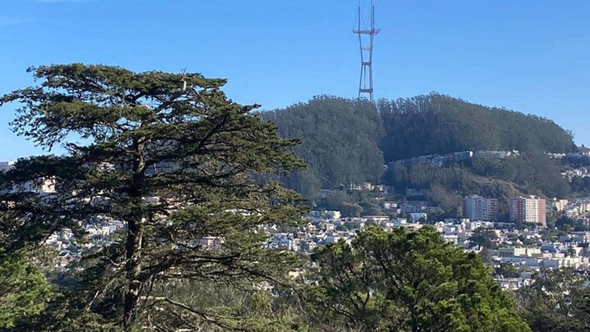 The Secrets of Golden Gate Park: A San Francisco Chronicle Self-Guided Tour image 1