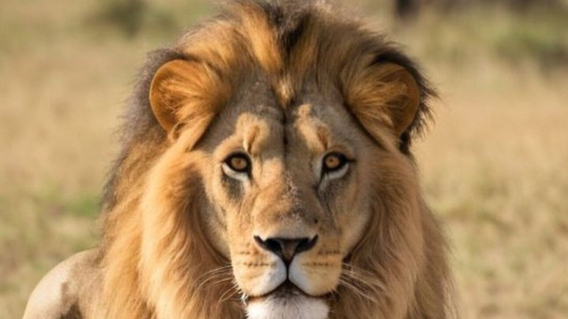 Garden Route 3 Day Small Group Tour from Cape Town