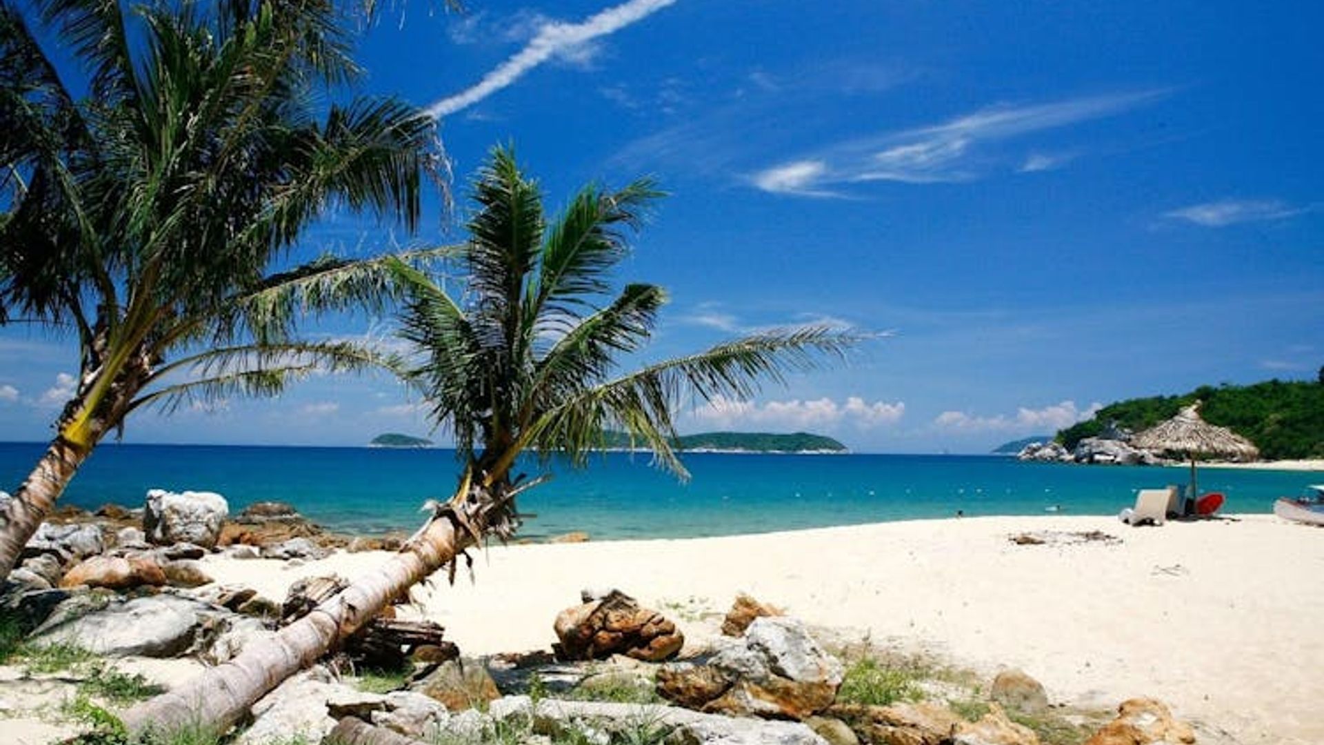 Full-day Cham Island Tour and Snorkeling