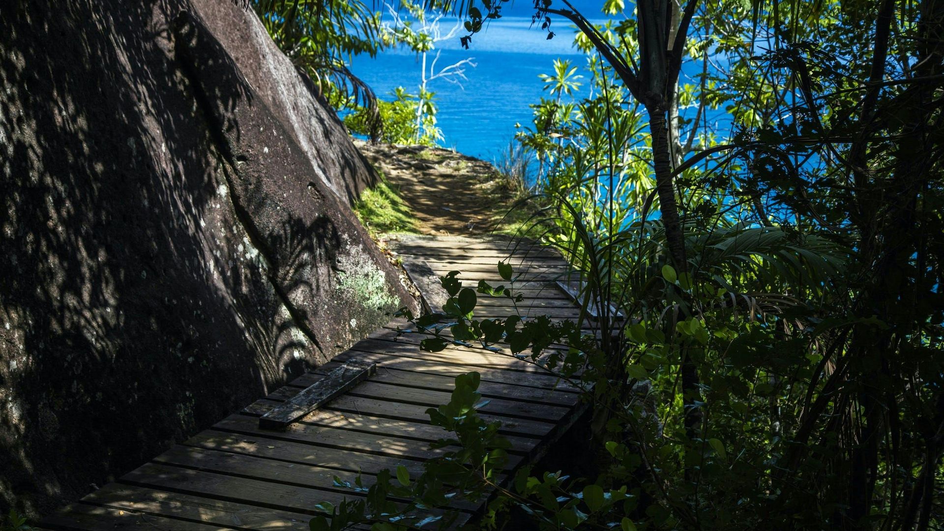 Private Nature Trail Anse Major from Mahé