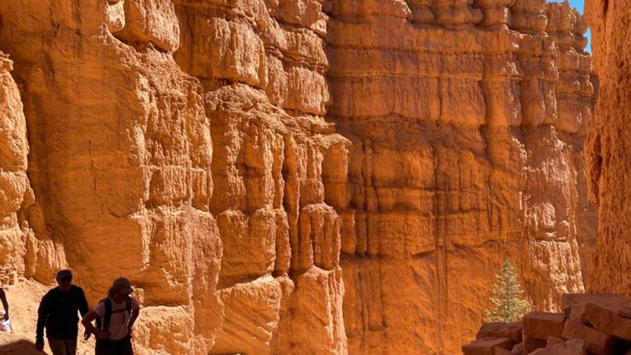 Southwest National Parks 7-Day Small-Group Tour From Las Vegas