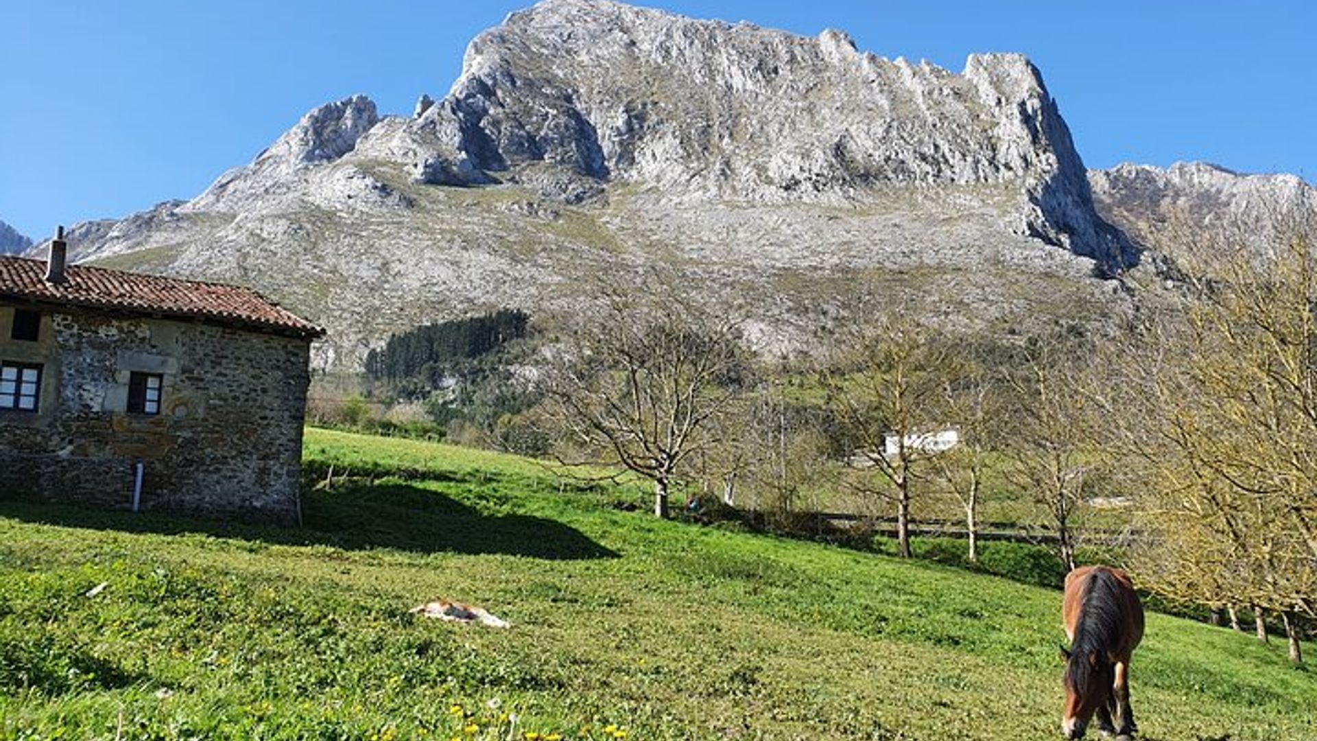 Biscay Private Tour Visiting Villages, Forests and Valleys