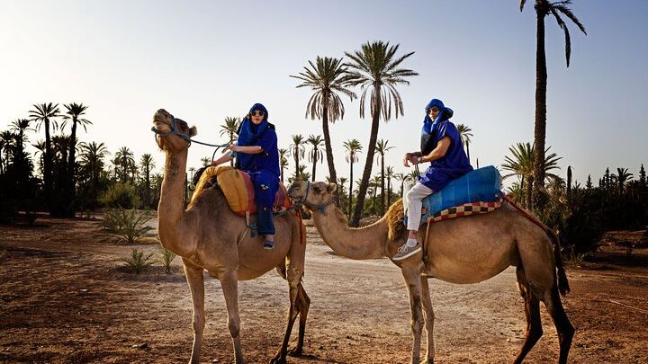2 Hours Private Camel Ride in Agadir