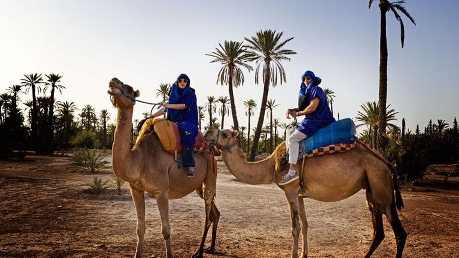 Agadir Private Sunset Camel Ride Along the Souss River