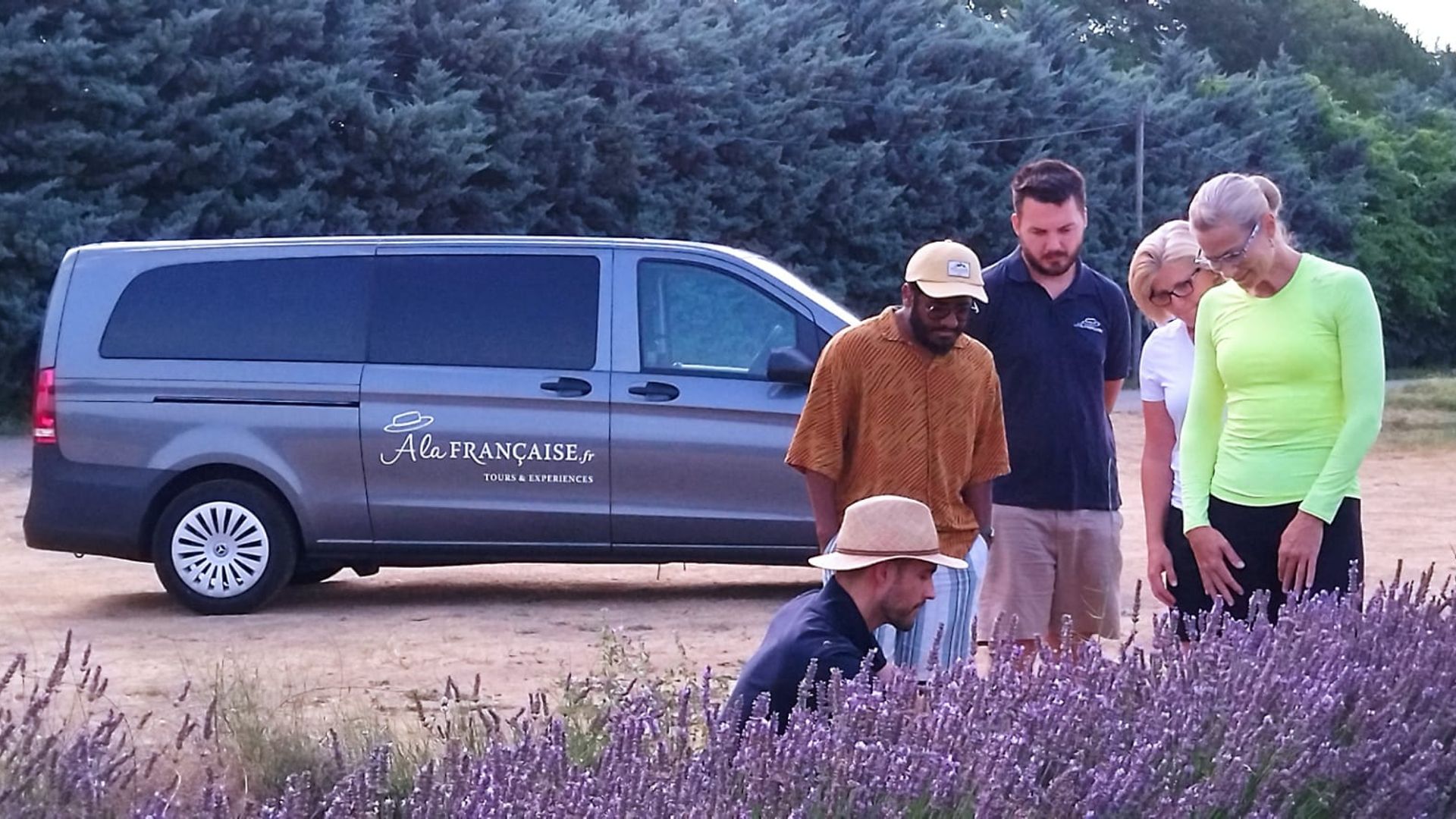 Lavender Morning Tour Sault