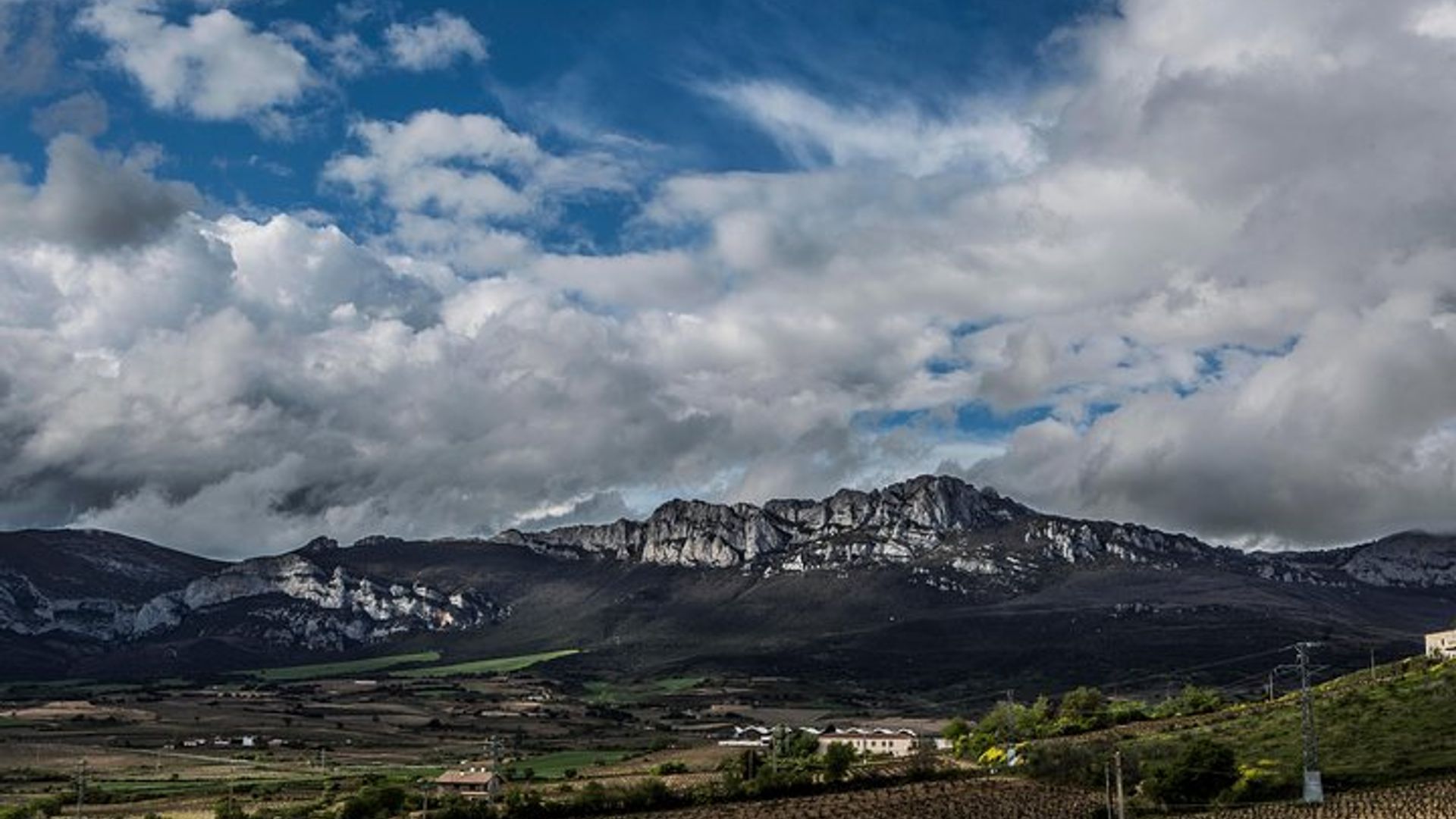 Rioja Wine Tour: Winery & Traditional Lunch From Vitoria