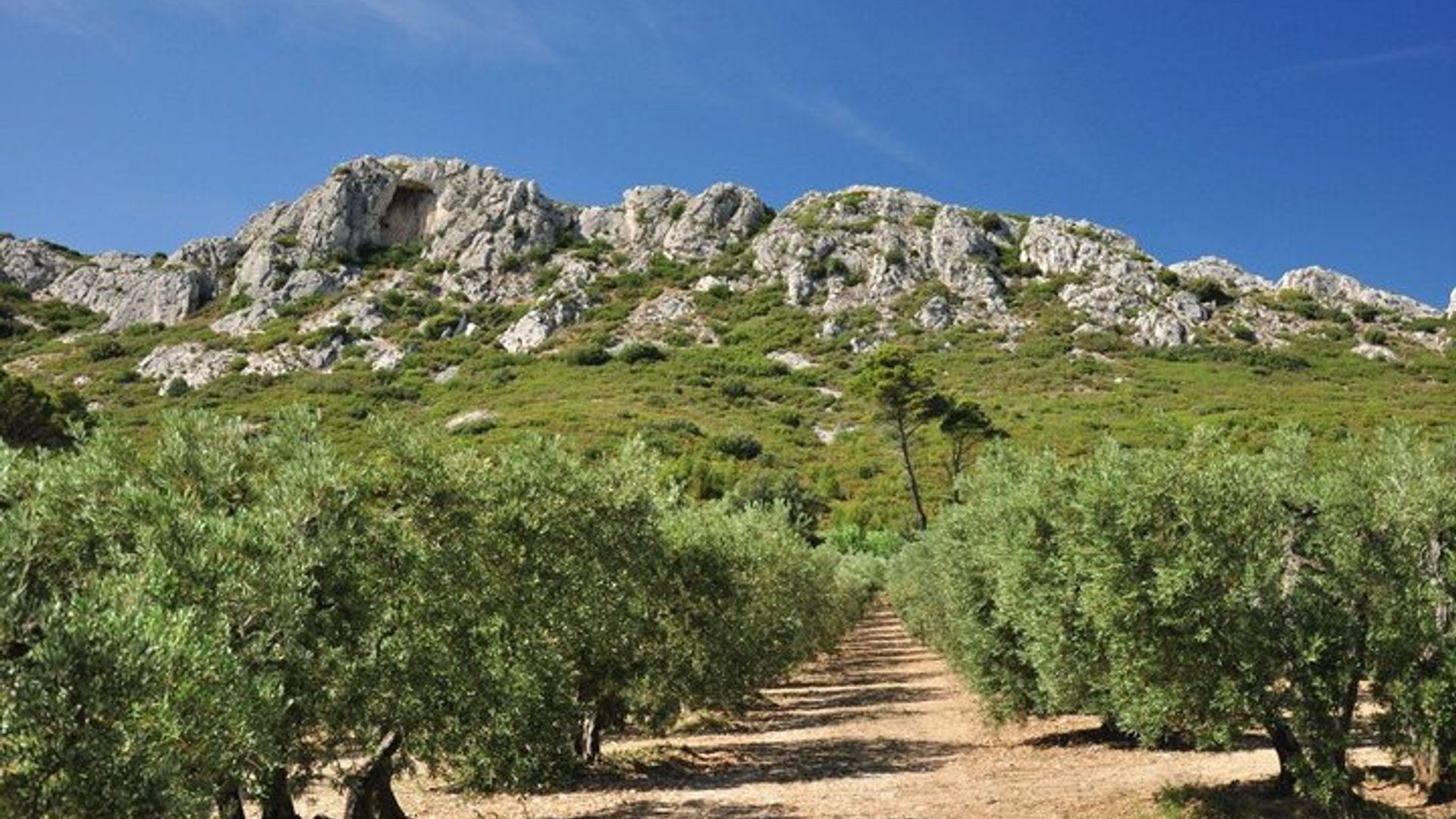 Villages of Saint-Rémy, Les Baux de Provence & the Pont du Gard