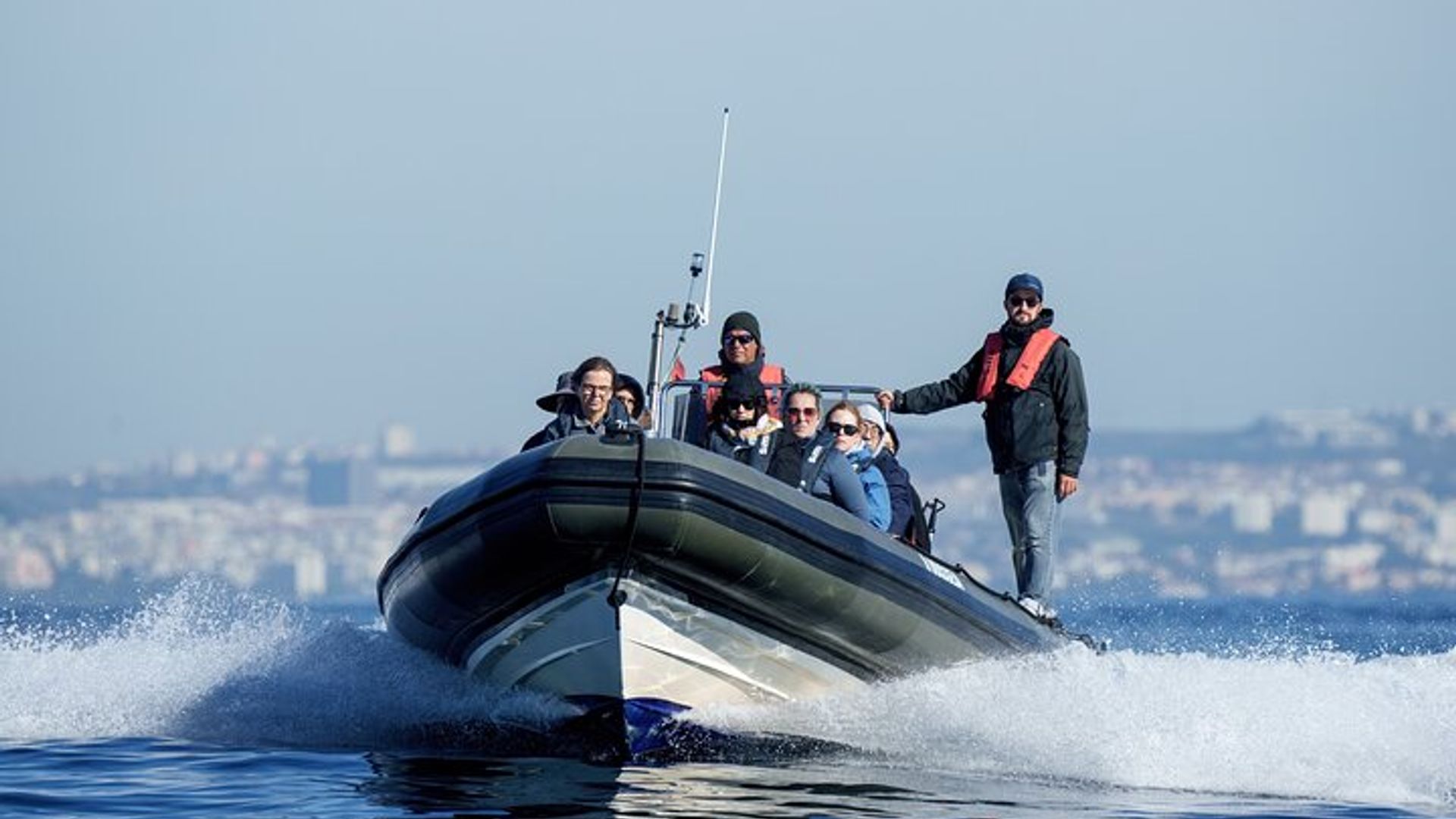 Croisière d'observation des dauphins en petit groupe à Lisbonne