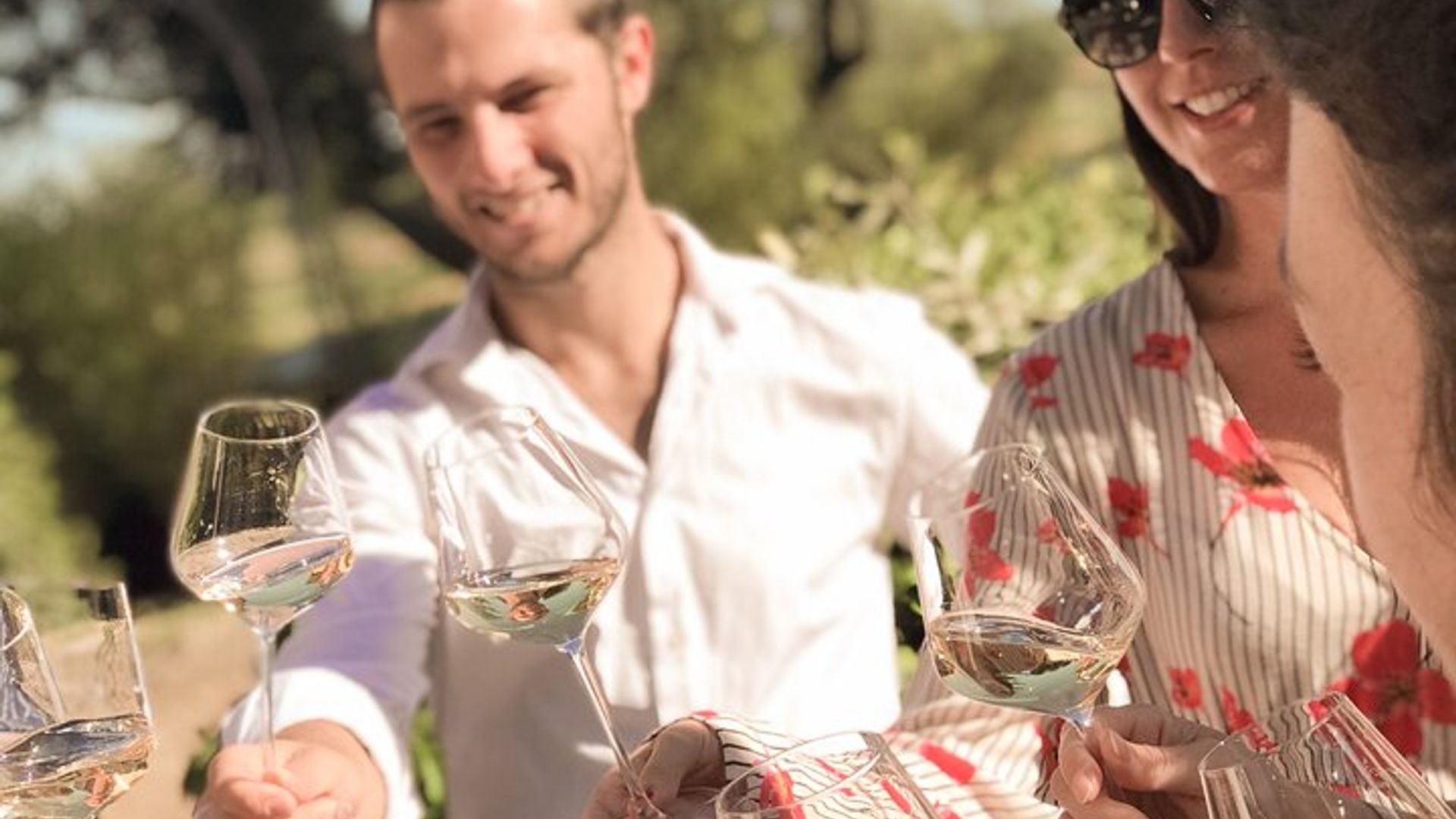 Cannes Tour en Vino de Provenza en Grupo Pequeño de 3 Viñedos