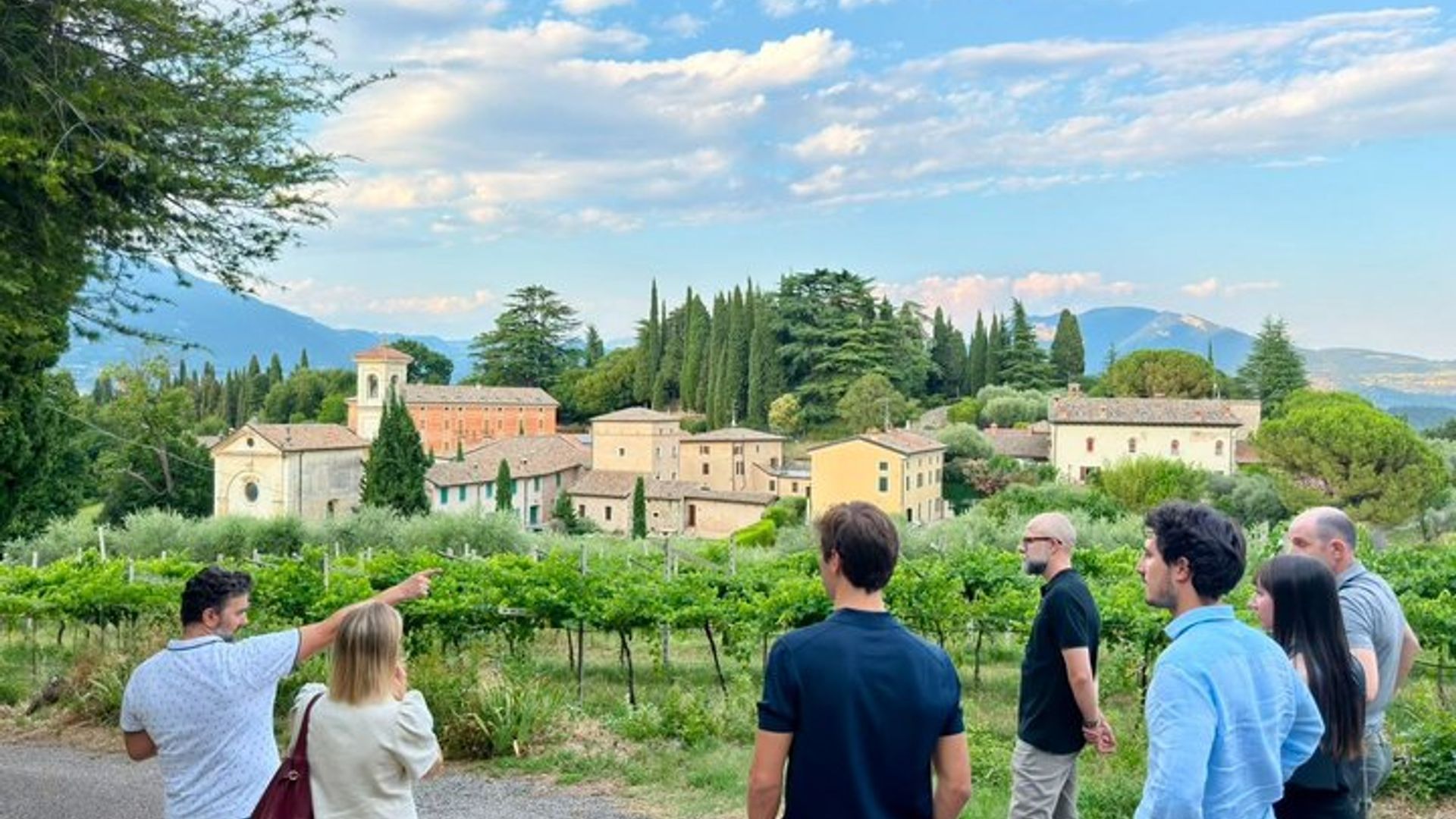 Vineyard Tour and 5 Wine Tasting in the Bardolino Hills