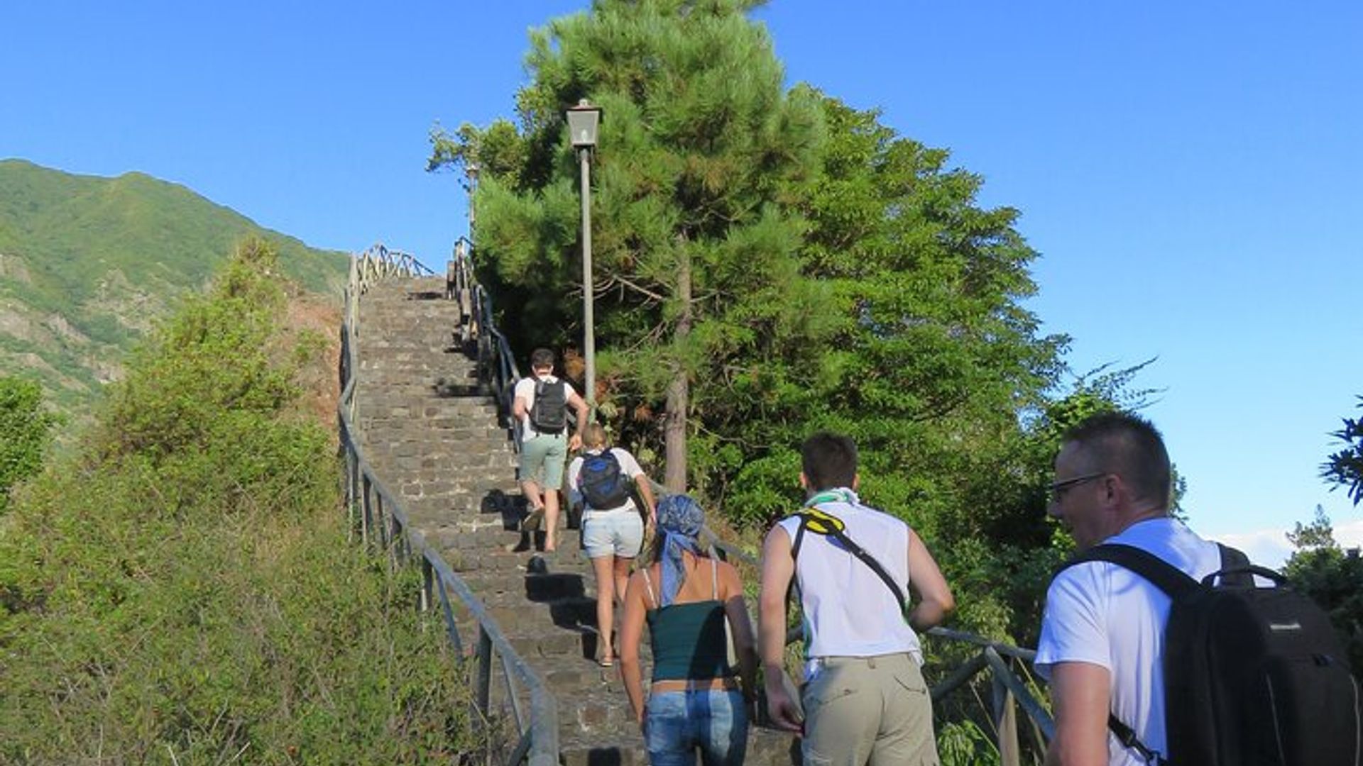 Vineyard Escapade and skywalk, a Wine Tour 4x4 Adventure