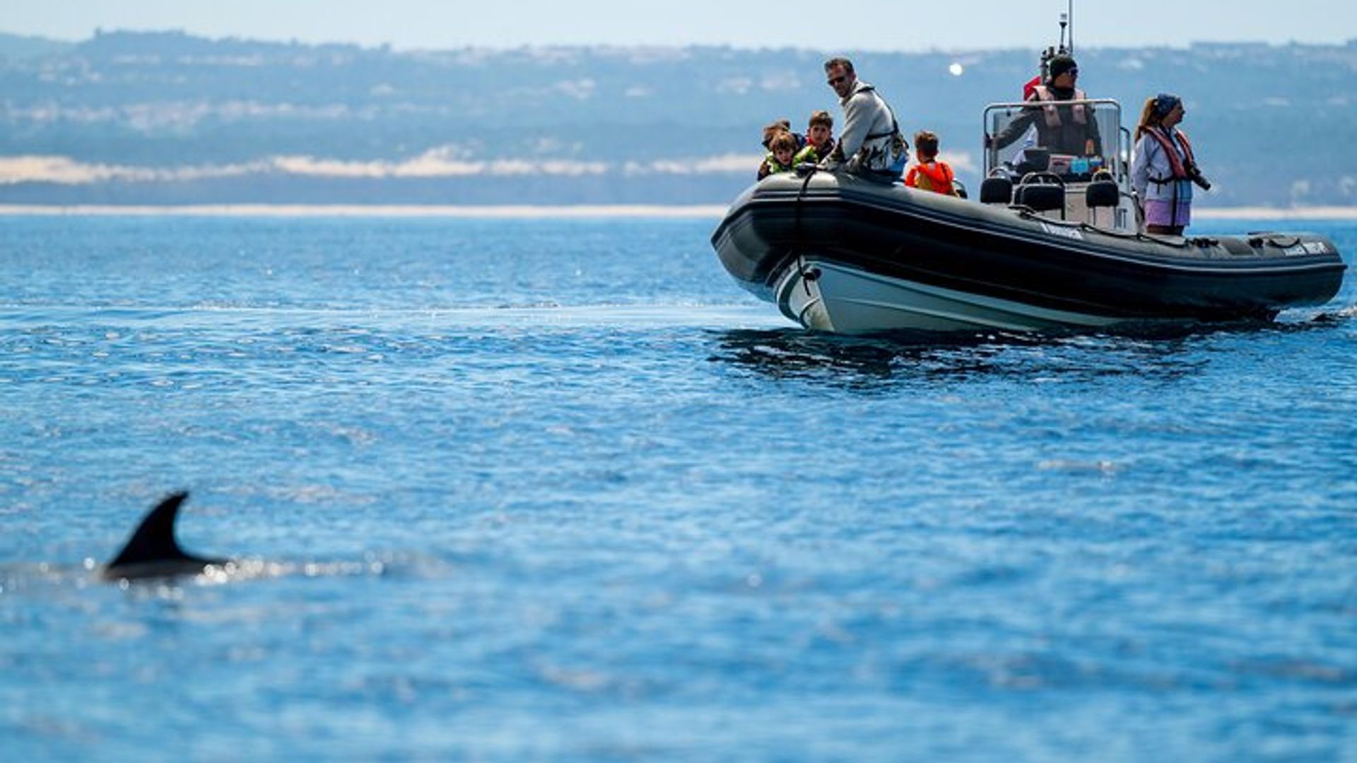 Croisière en petit groupe à Lisbonne pour observer les dauphins