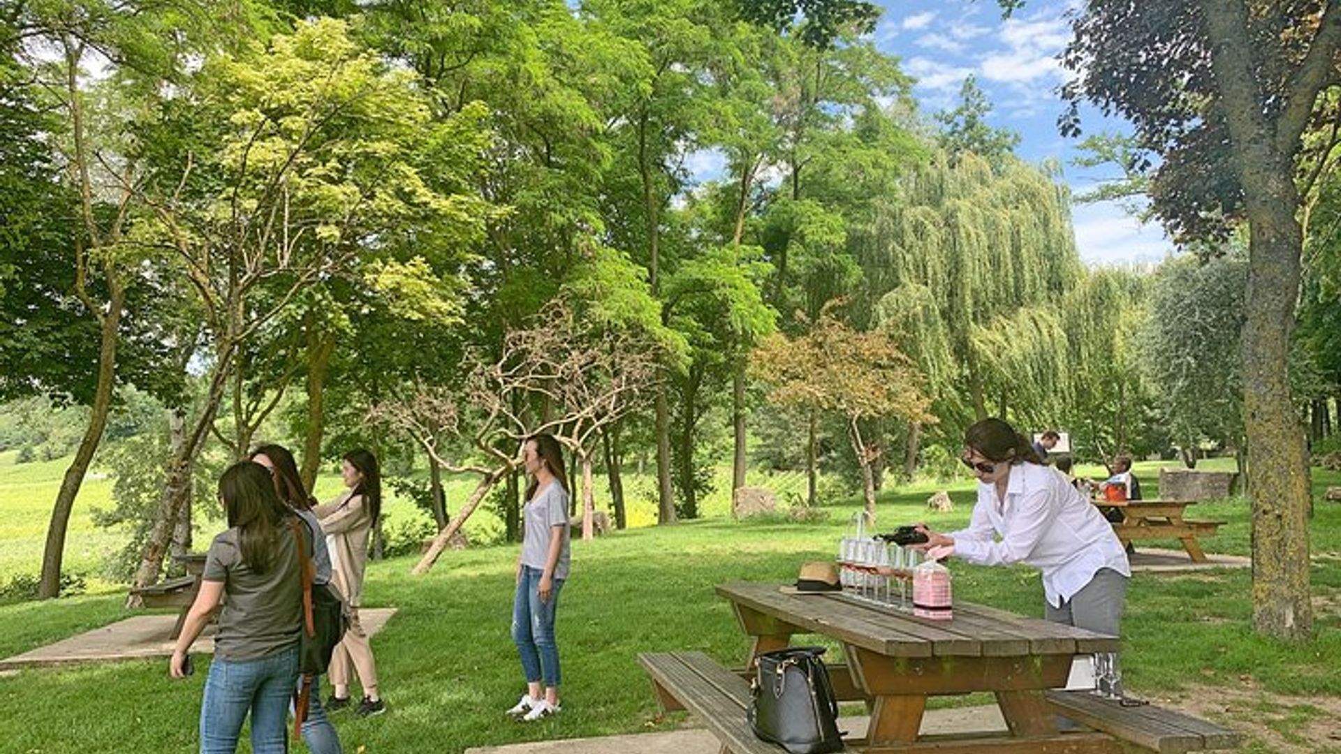 Excursión de un día en champán desde París con 8 degustaciones y almuerzo