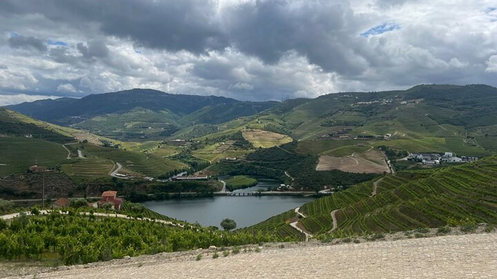Tours de vinos increíbles en el valle del Duero