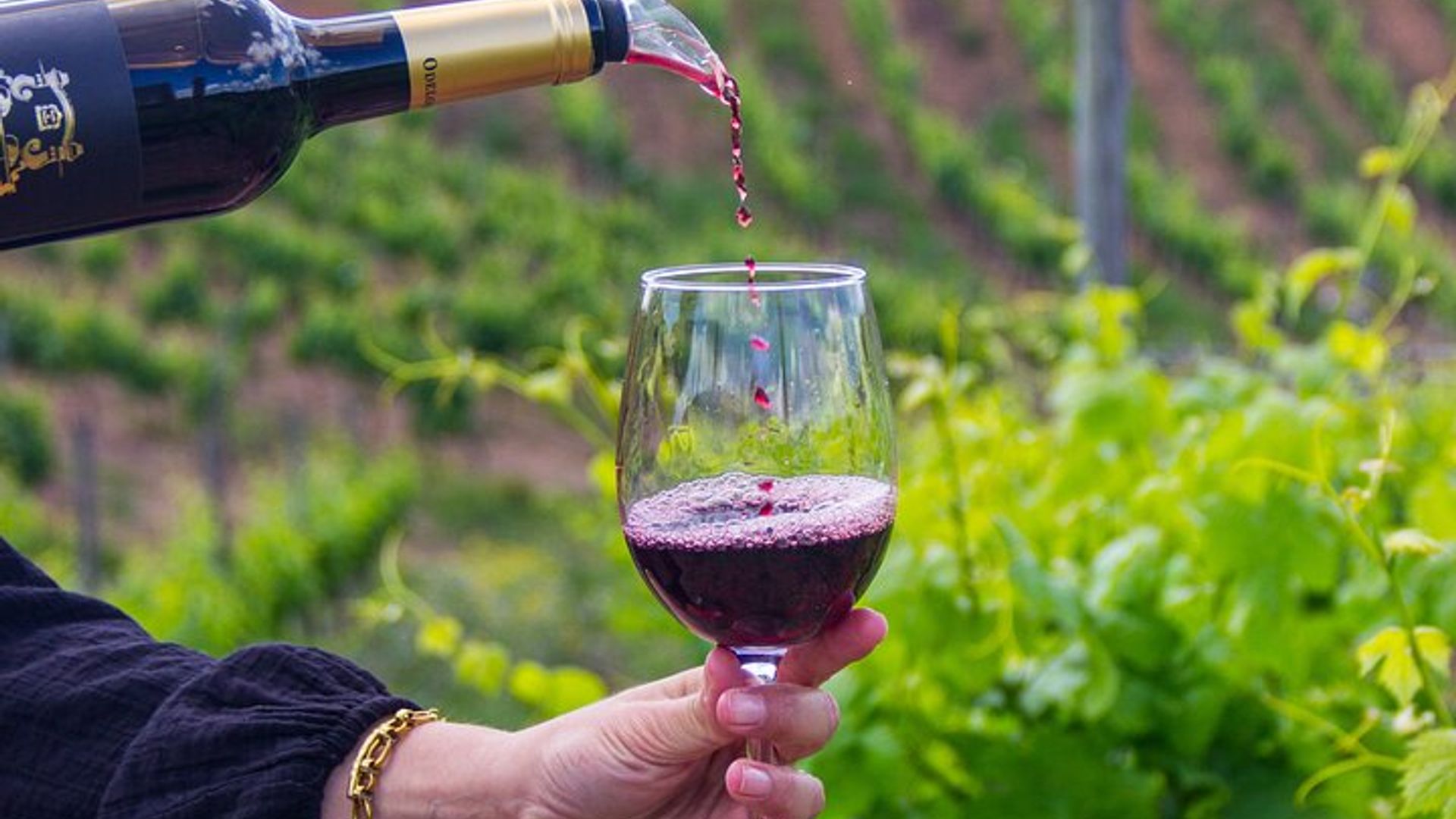 Albufeira Wine Tour: 2 Vineyards, 6 Tastings & Historic Silves