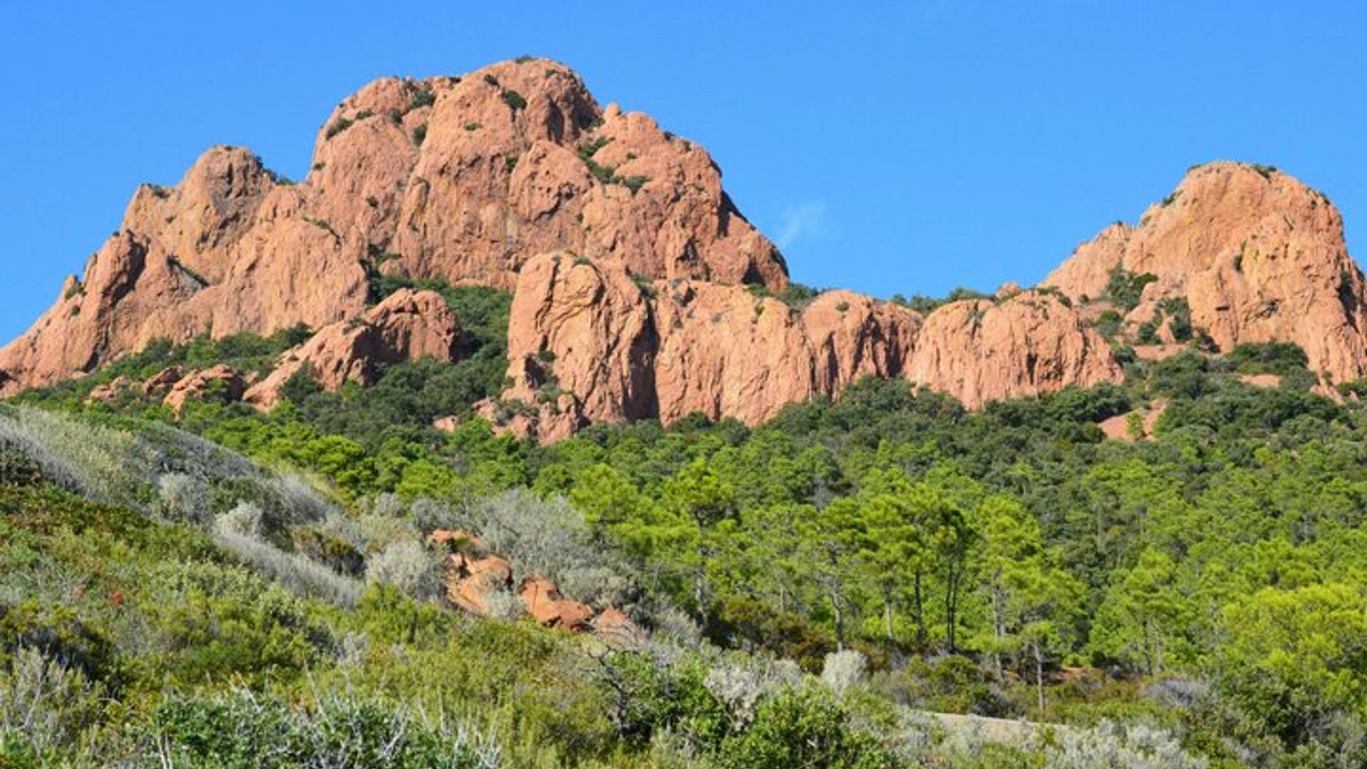 Esterel Summit Hike : Les Balcons d’Azur
