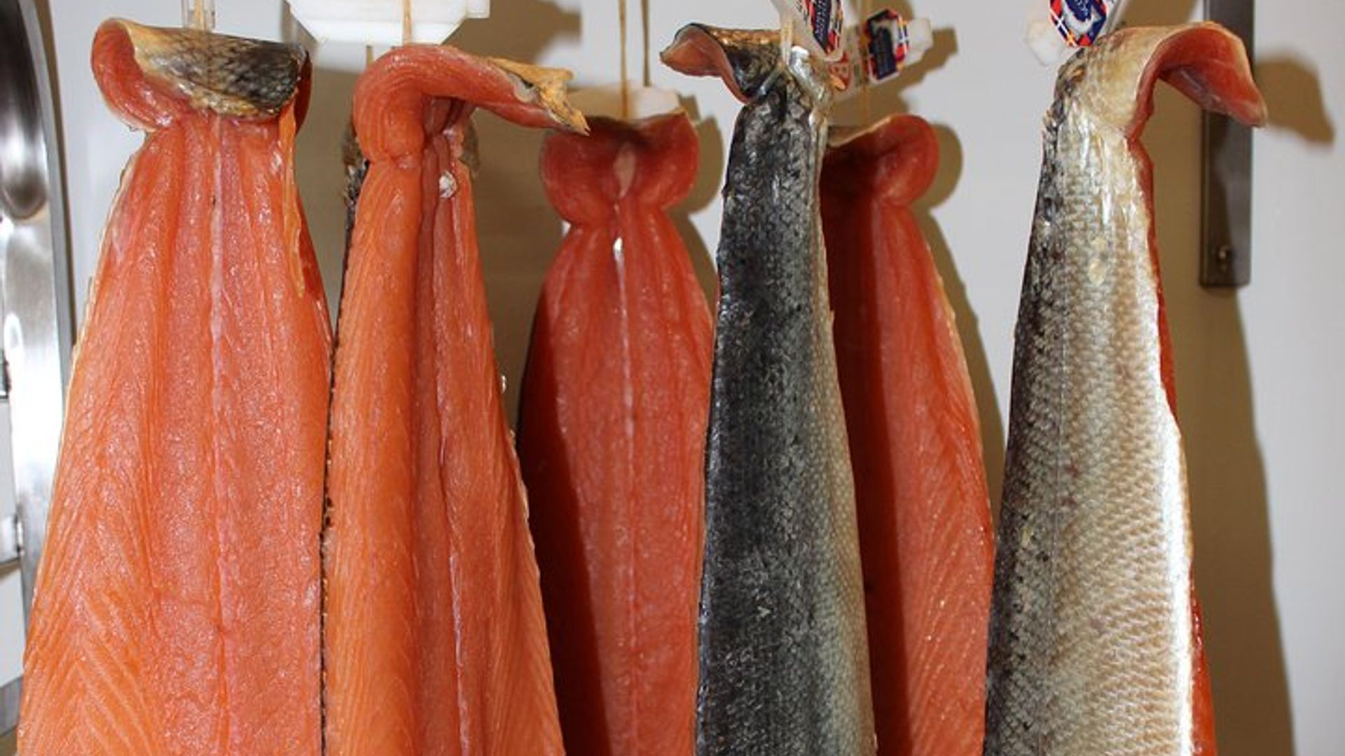 Visites de la Saumonerie Artisanale de Bayeux