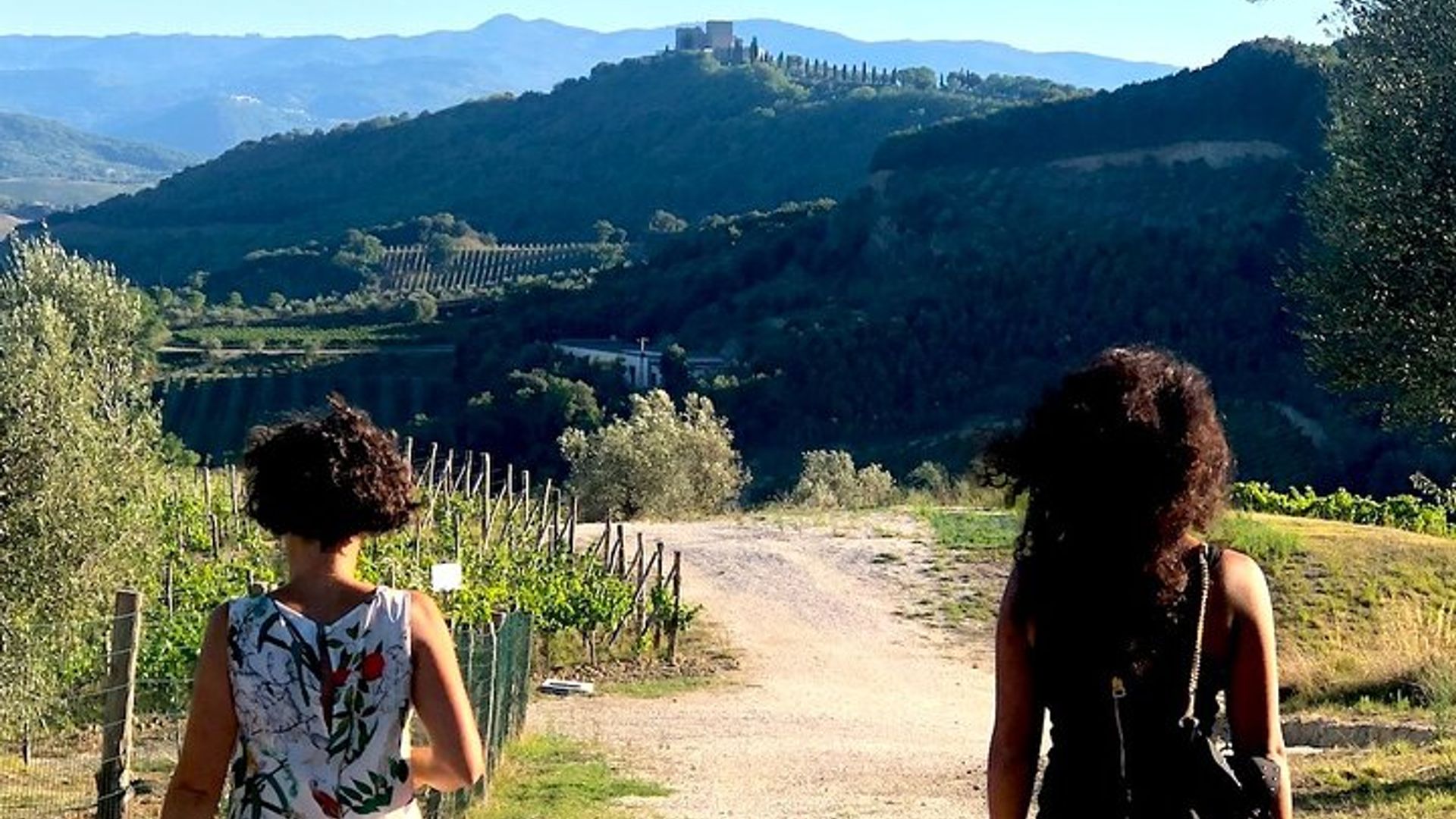 Brunello Private Weintour, drei luxuriöse Weingutbesuche und Mittagessen