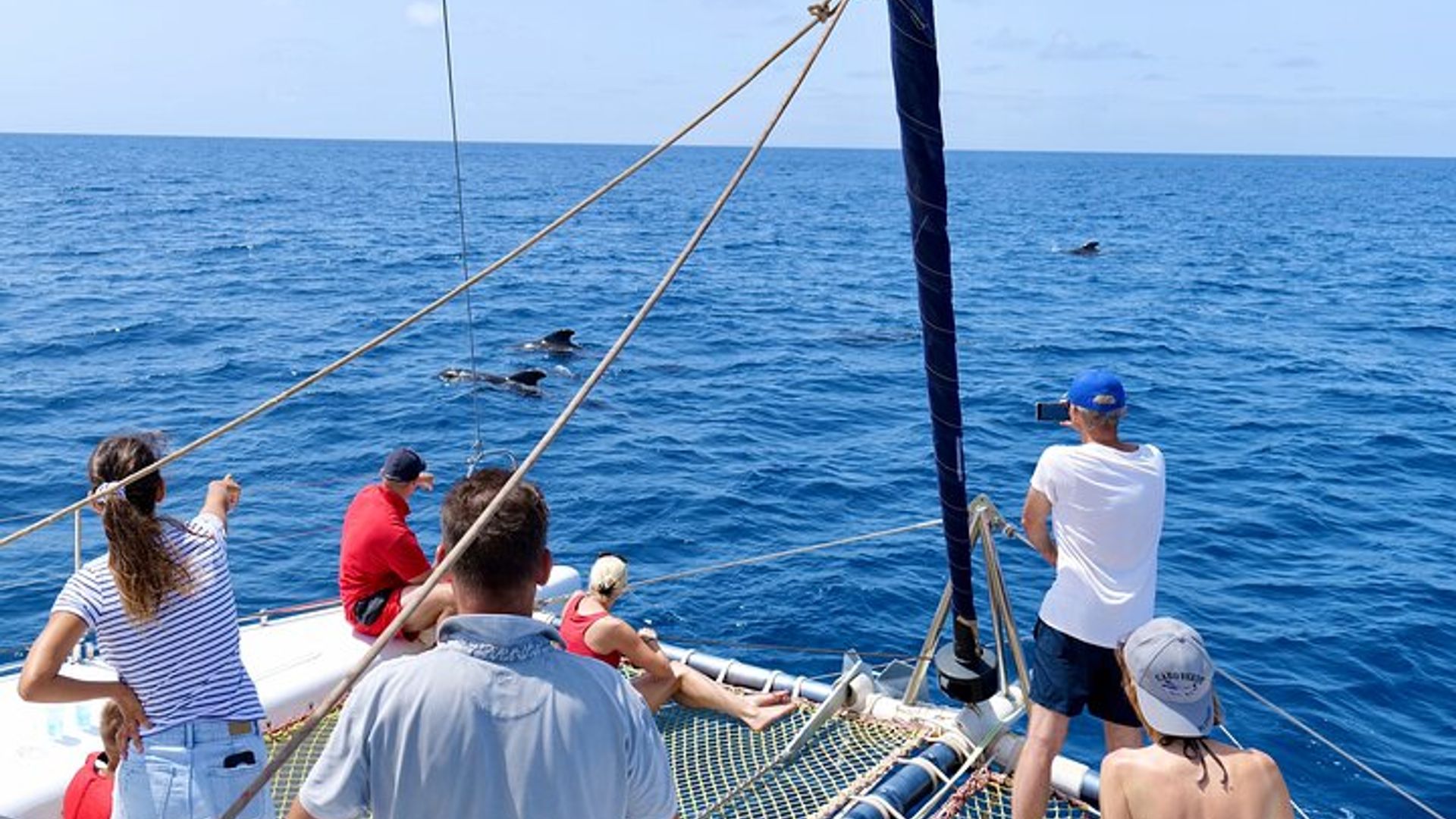 Tour en catamarán para grupos pequeños de Santa María