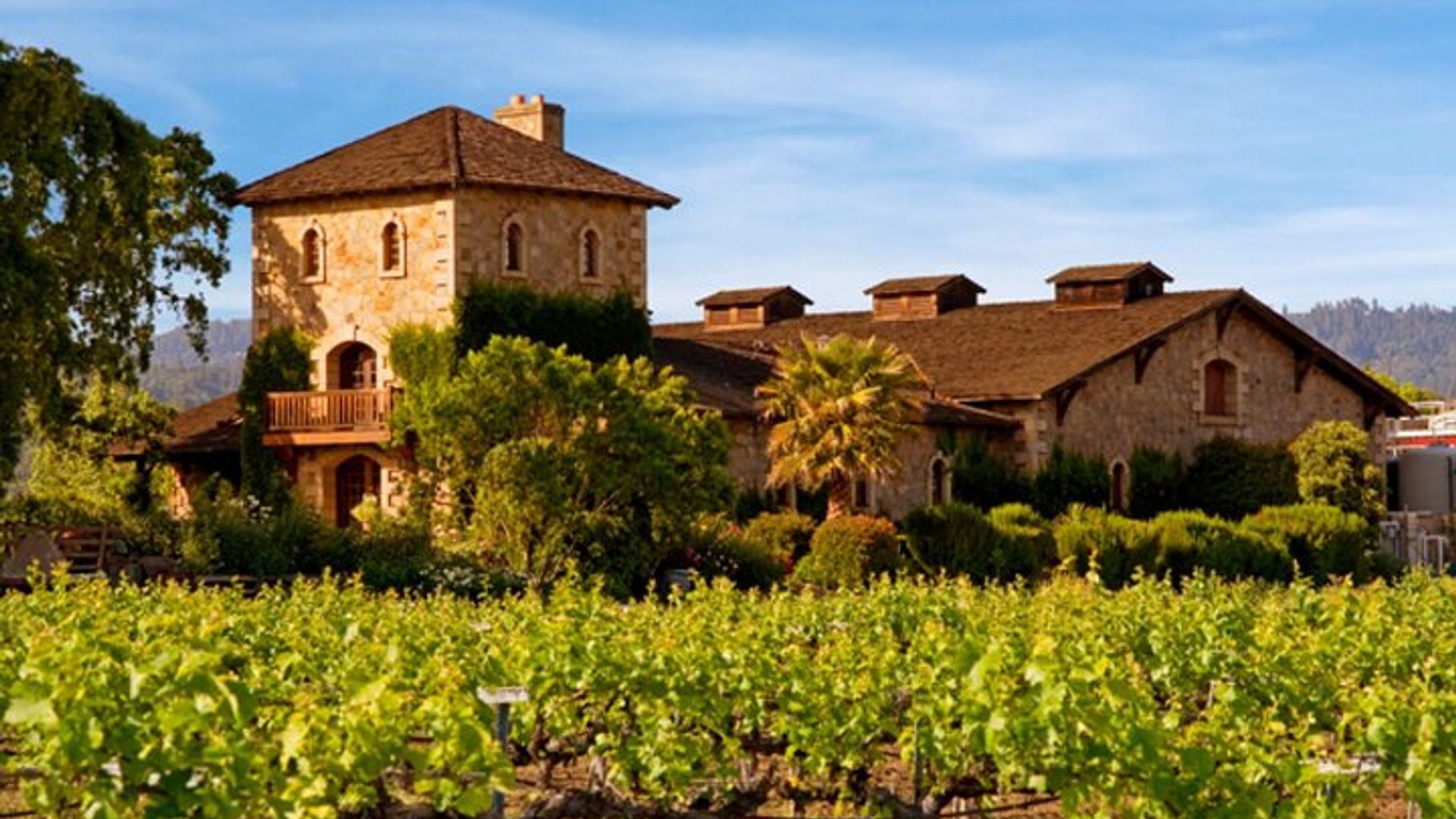 San Francisco Napa Valley Small-Group Tour image 2