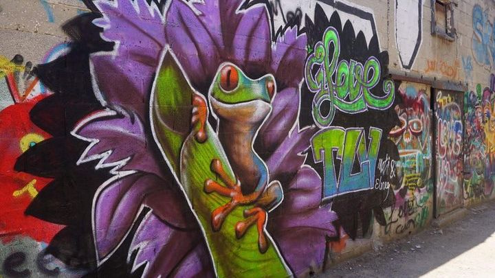 Tel Aviv Street Art & Graffiti Tour