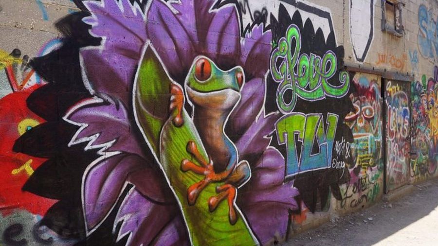 Tel Aviv Street Art & Graffiti Tour