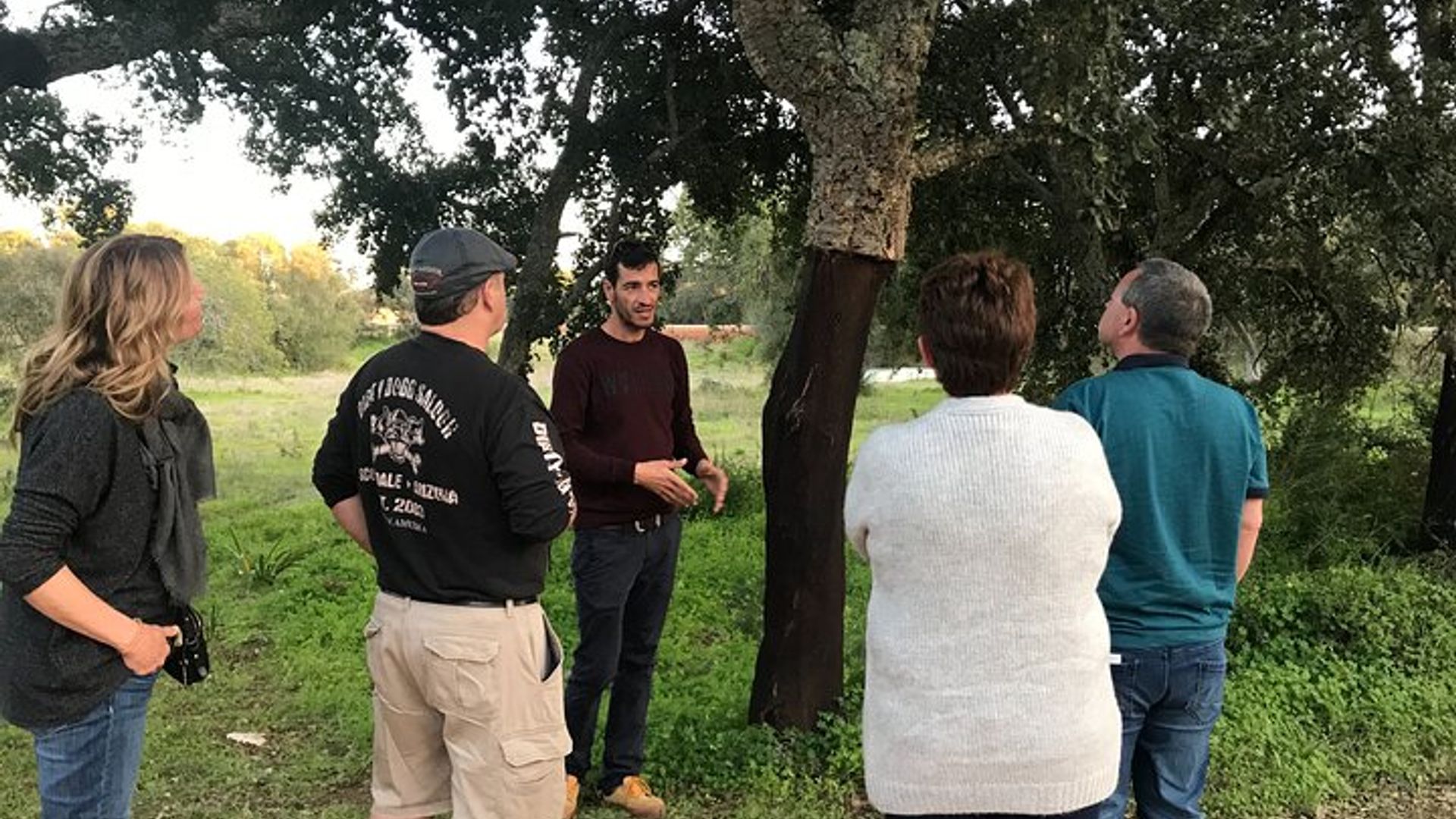 Albufeira Wine Tour: 2 Vineyards, 6 Tastings & Historic Silves