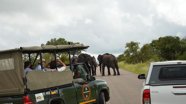 Pilanesberg Safari & Transfer From Johannesburg or Pretoria