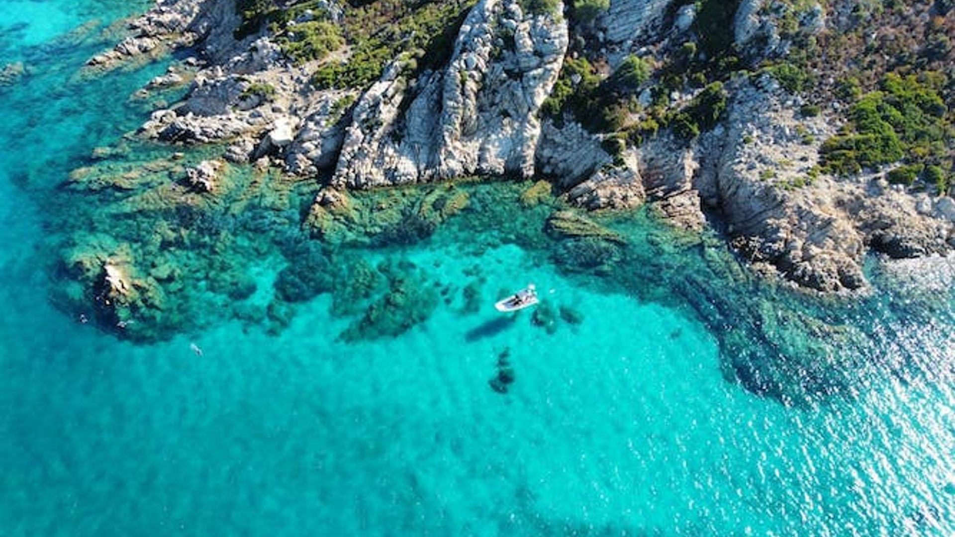 Tavolara protected area snorkeling experience from San Teodoro