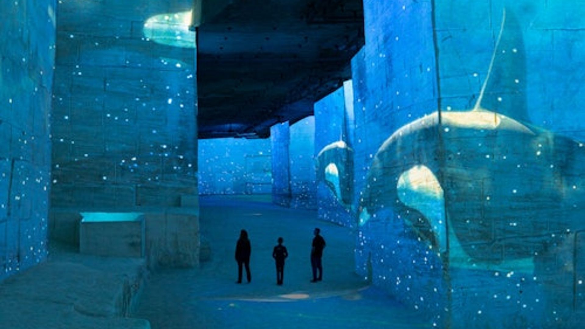 Carrières des Lumières : Exposition Océan
