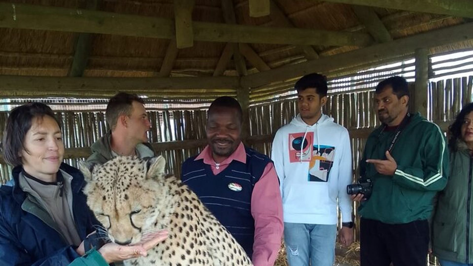 Cheetah Outreach, Gordon’s Bay, and Strand Beach Tour