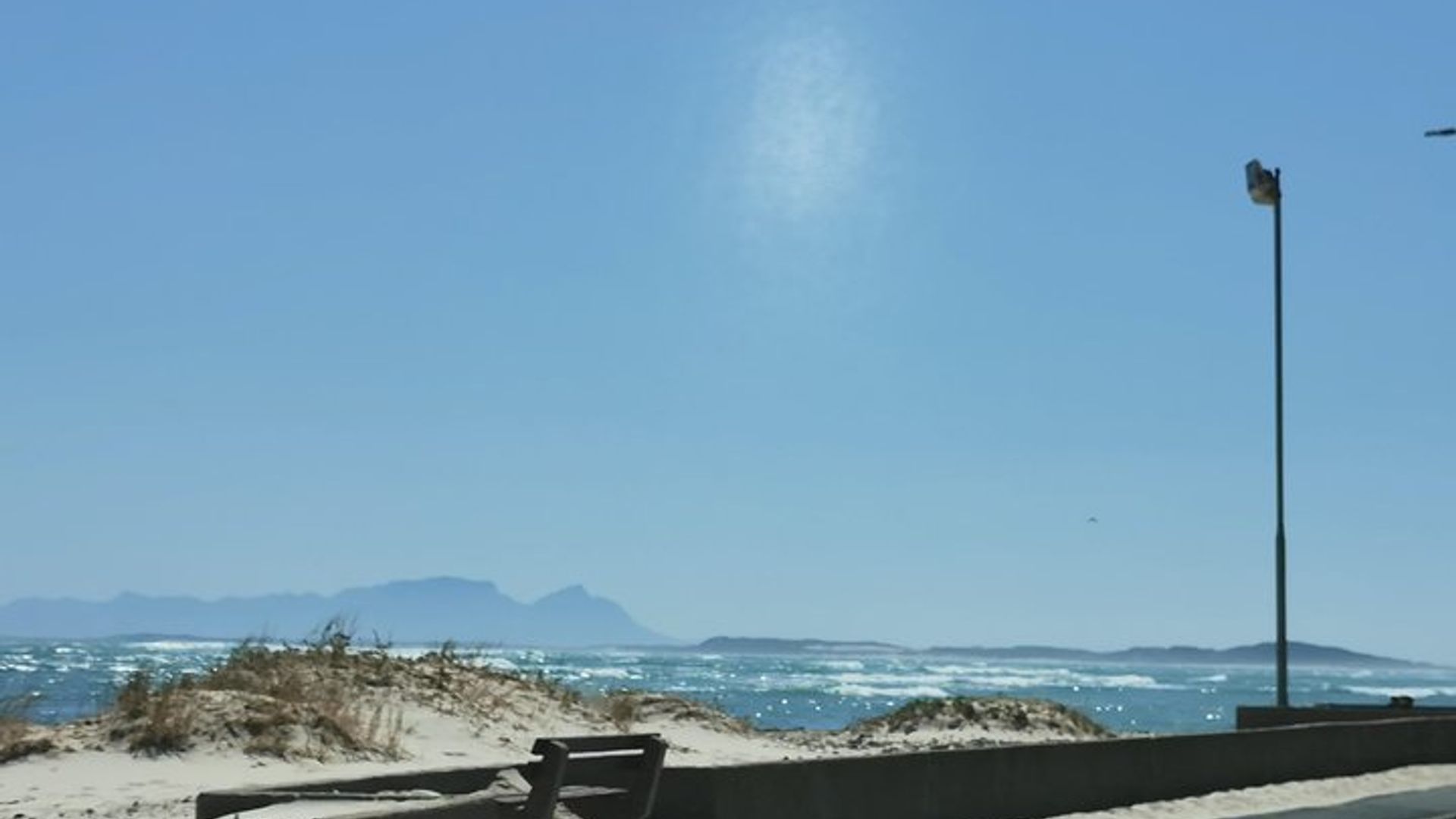 Excursión a Cheetah Outreach, Gordon's Bay y Strand Beach