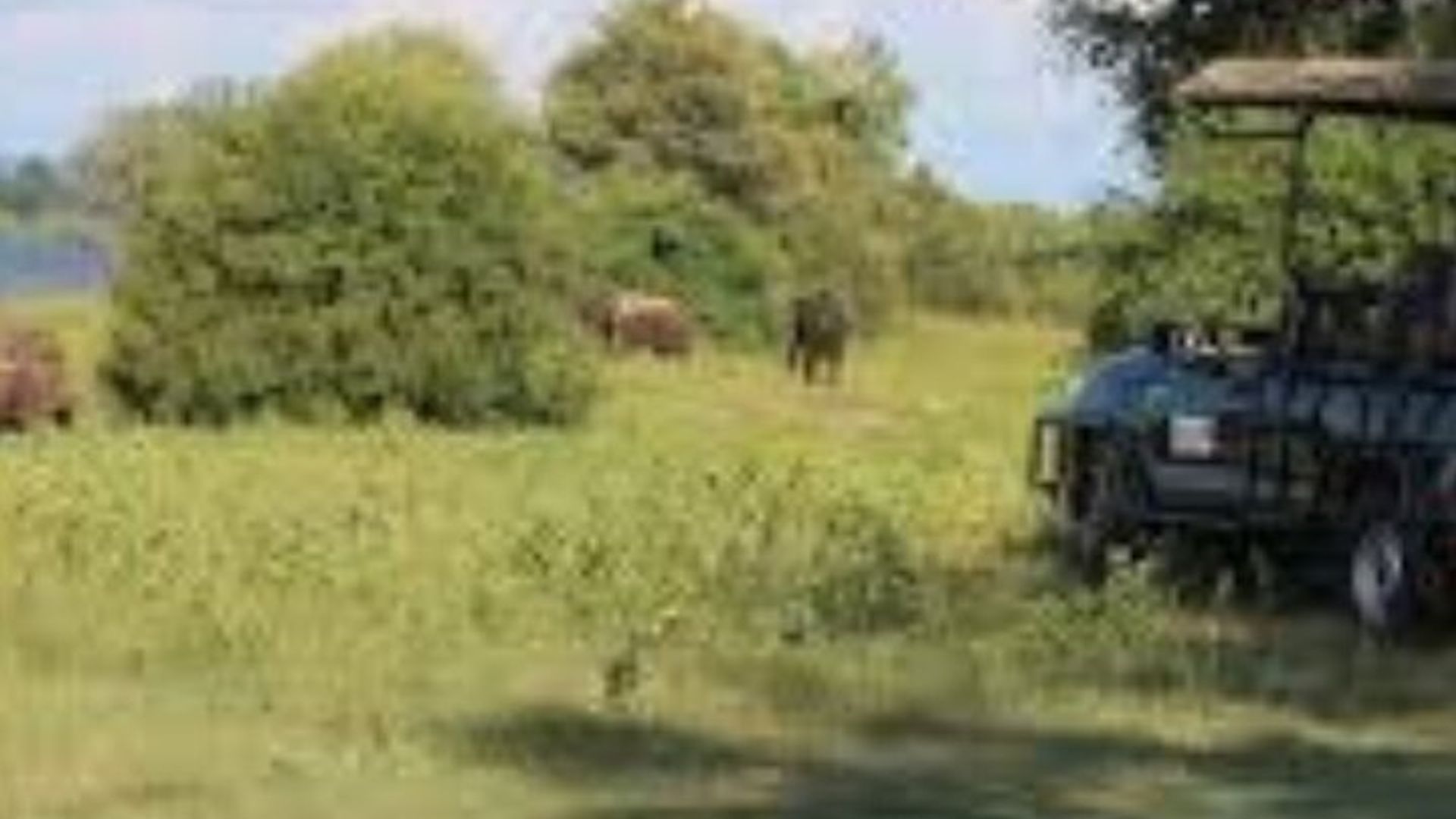 ขับรถเล่นเกม Zambezi Park เต็มวันและสัมผัสประสบการณ์น้ำตกวิกตอเรีย