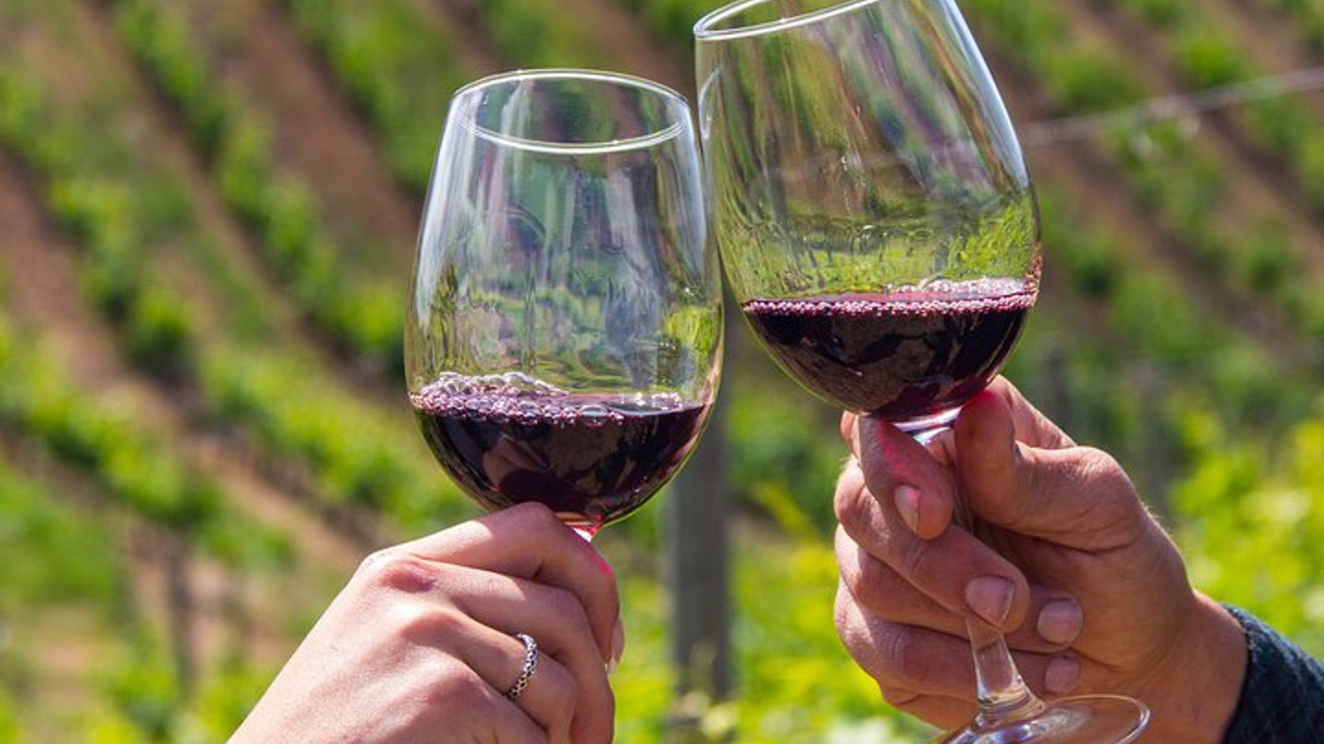 Albufeira Wine Tour: 2 Vineyards, 6 Tastings & Historic Silves