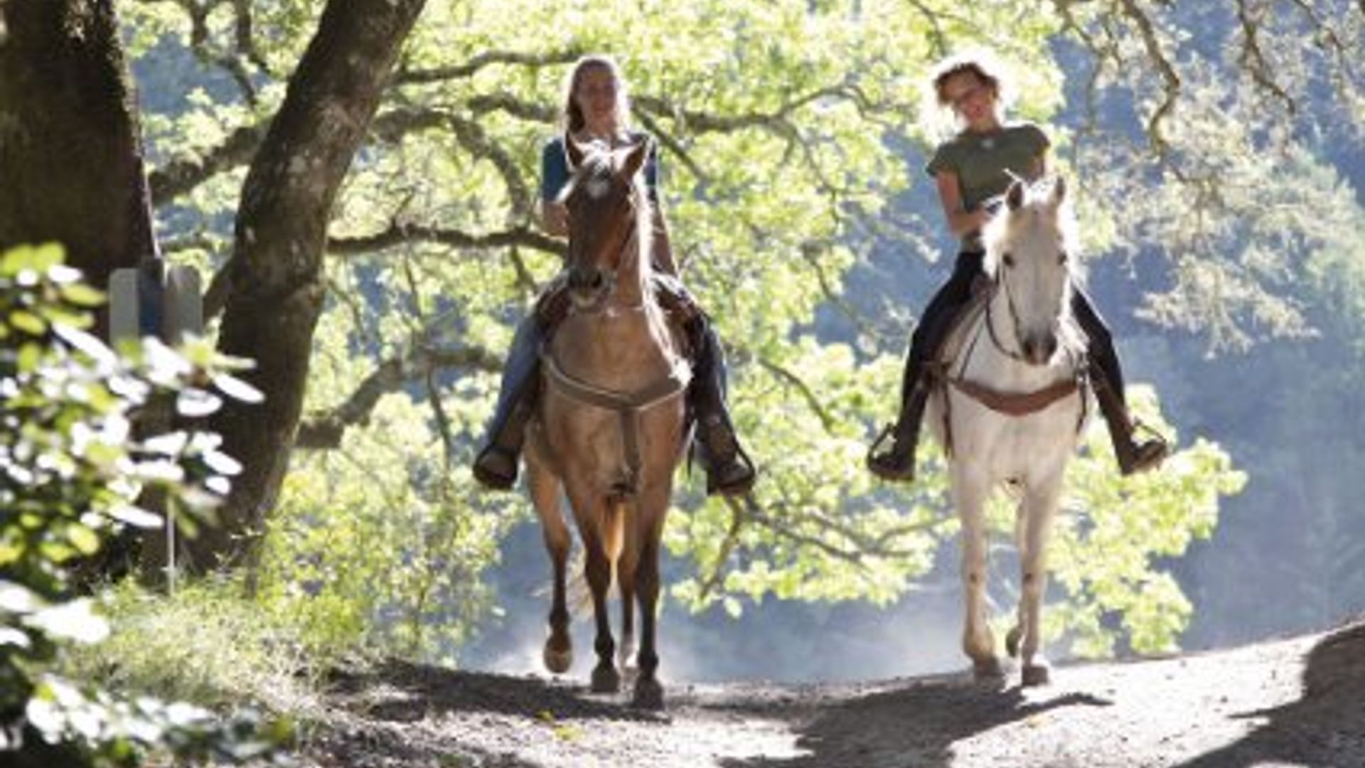 Paseos a caballo desde San Gimignano