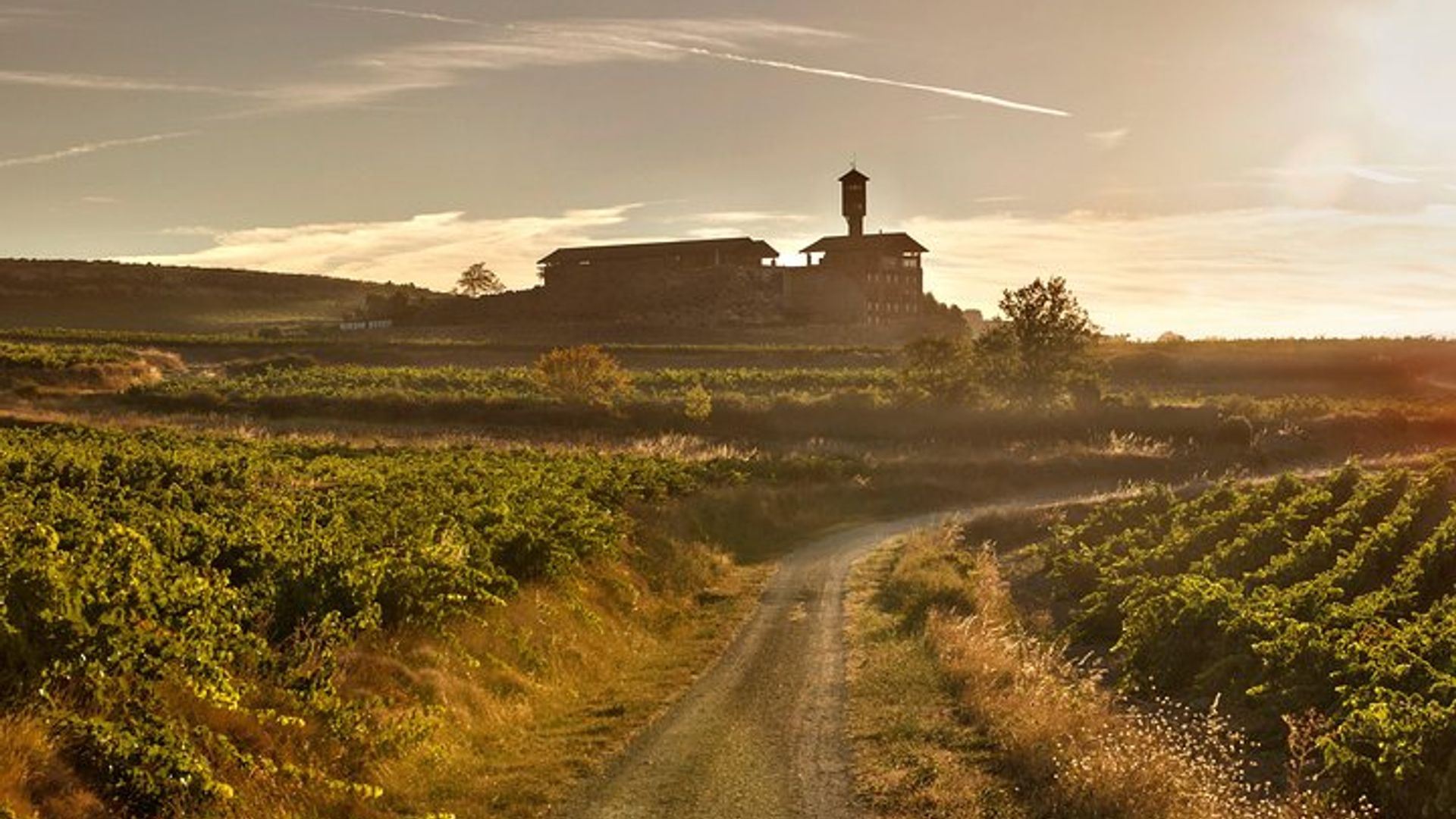 Visite des vins de la Rioja : cave et déjeuner traditionnel de Vitoria