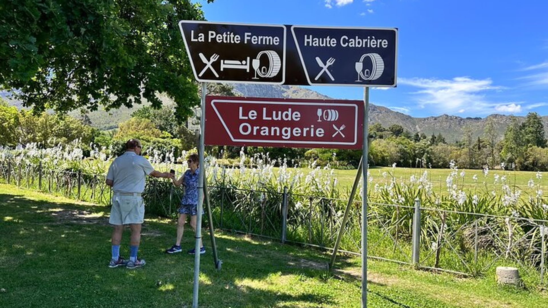 Ultimate Cape Winelands Private Wine Tour