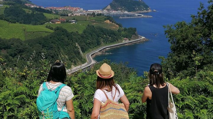 Coastal "Winery Camino Trail" Walking Tour from San Sebastian