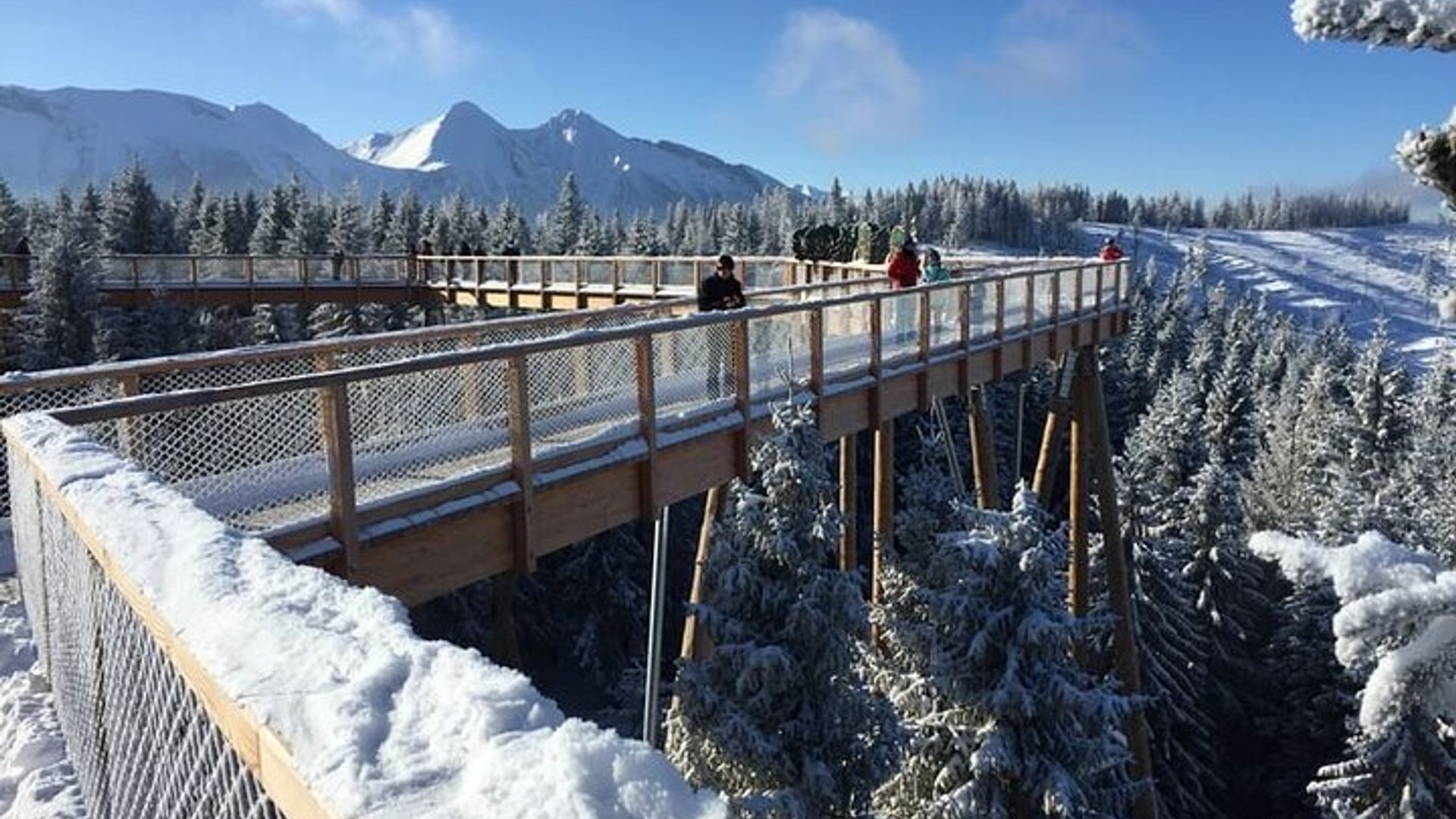 Cracovie : Slovaquie Treetop Walk et Zakopane Tour
