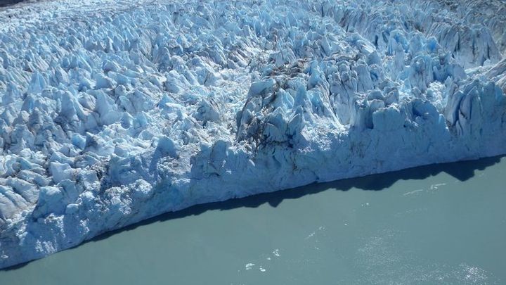 Glacier & Wildlife Discovery Tour