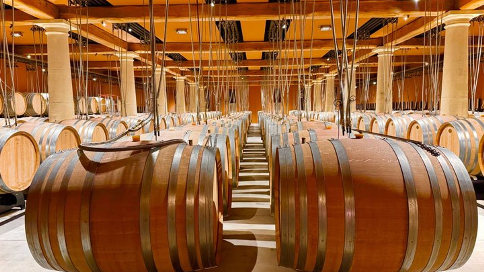 Excursión al vino de Provenza desde el puerto de cruceros de Cannes