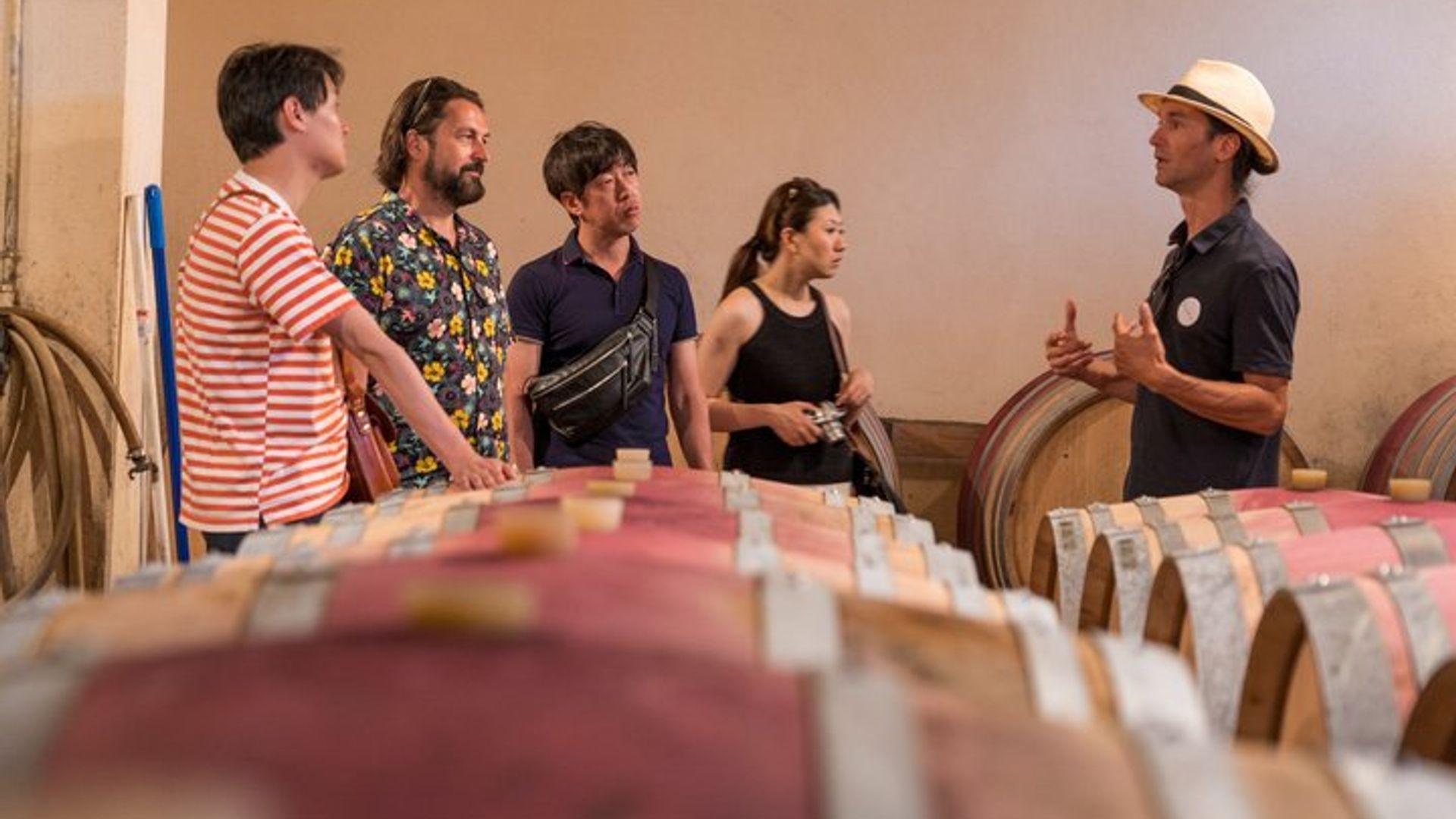 Chateauneuf du Pape Small-Group Wine Tasting Tour From Avignon