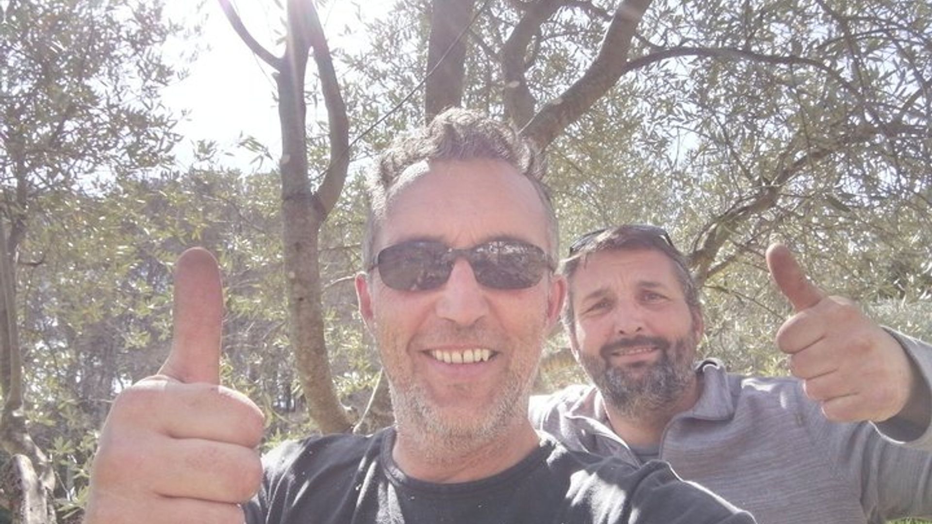 Visite de l'Oliveraie et Dégustation à Cotignac