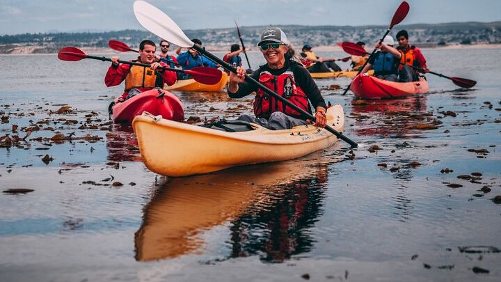 Monterey Bay Full-Day Kayak Rental - Otters, Seals, Sea Lions