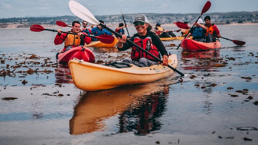 Monterey Bay Full-Day Kayak Rental - Otters, Seals, Sea Lions