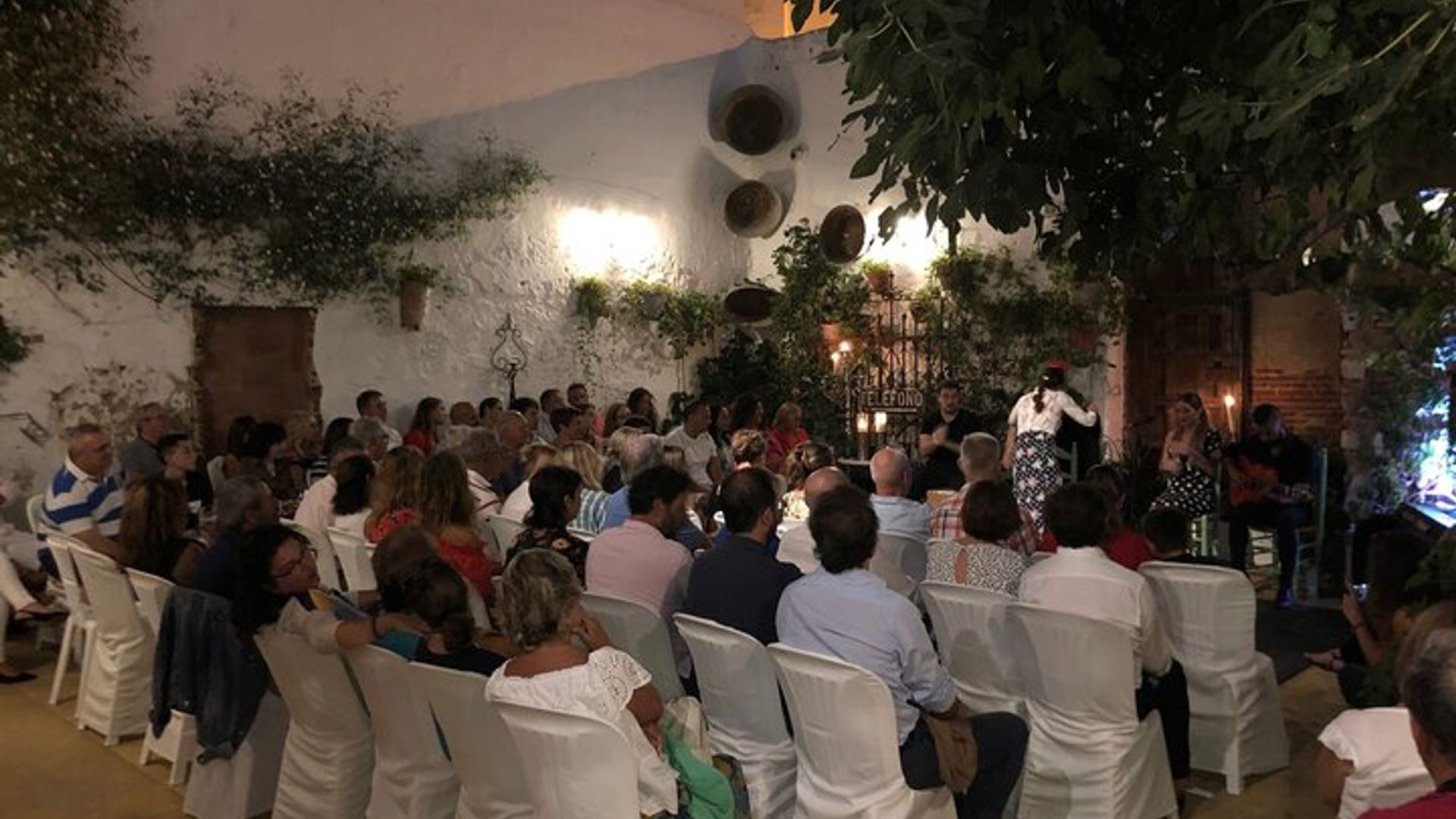 Andalucia Flamenco Evening Performance with Tapas