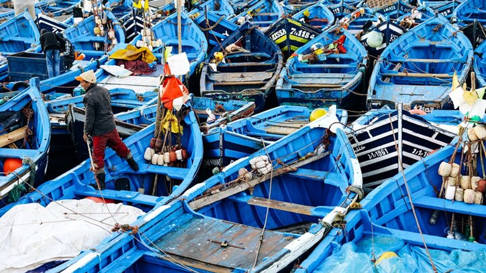 Marrakech To Essaouira Small Group Day Tour